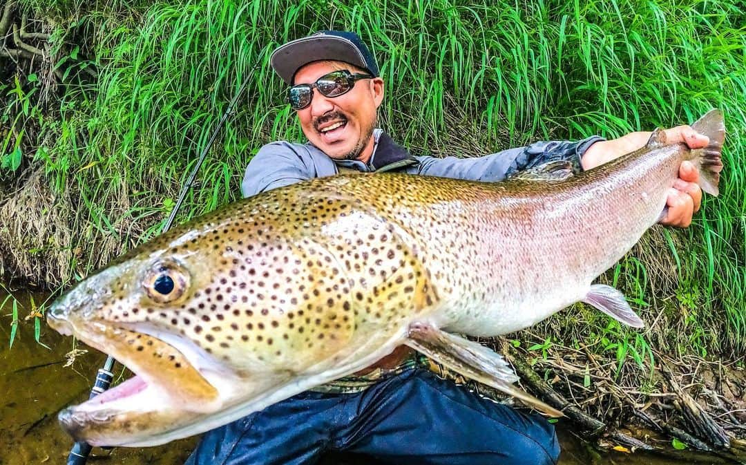 秦拓馬のインスタグラム：「幻の魚を求めて…  ディスラプション持って  北の大地へ  想像してなかった展開  ウッドカバーに  ピッチング＆スキッピング  キャストマニアには堪らない  高難易度のカバー祭り  で結局  オープンで食うた  #イトウ #北海道 #hatatakuma #秦拓馬 #fishmagnet #ディスラプション #XX」