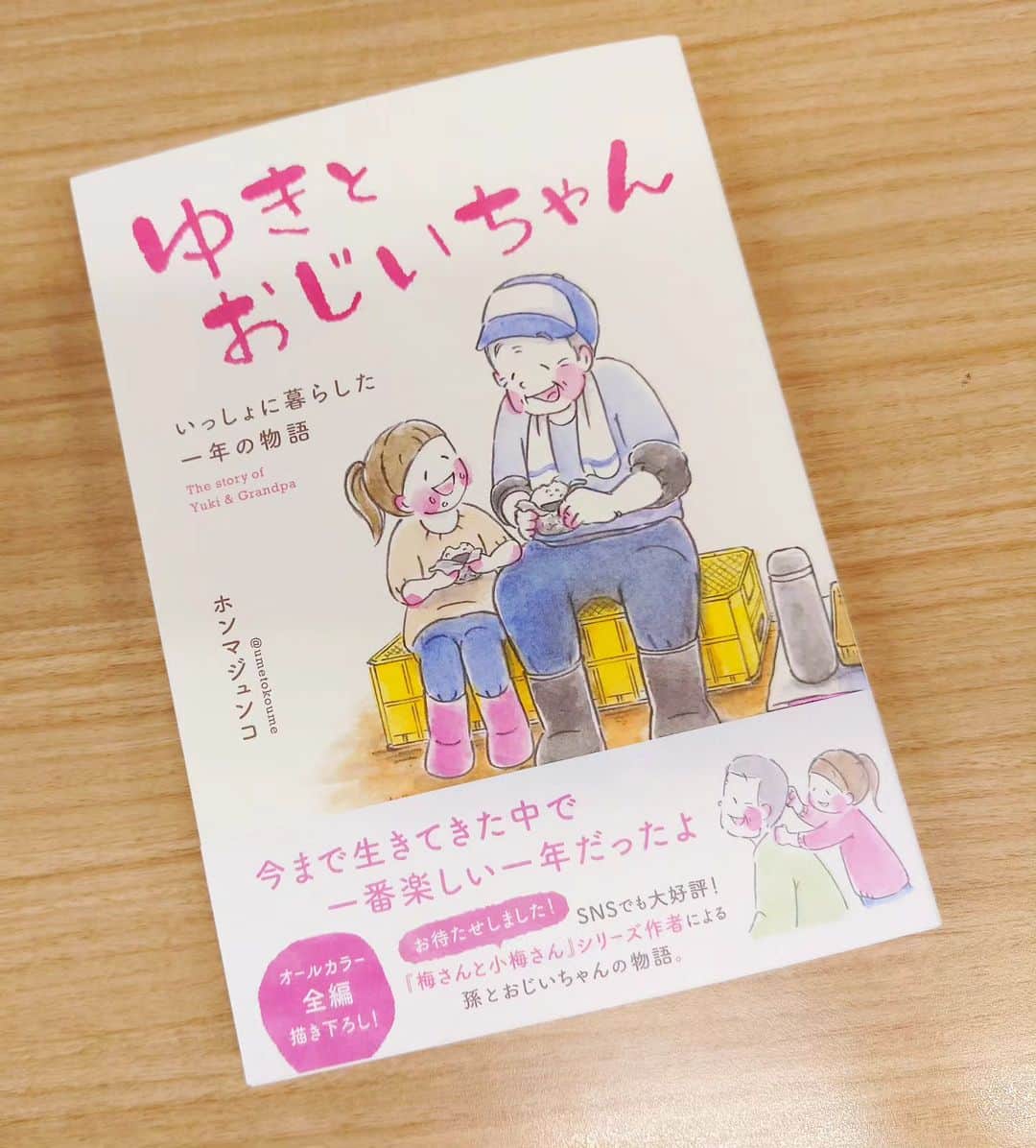 のインスタグラム：「いい本だなぁ。新潟が舞台の素敵なマンガ✨子どもたちにも読んでほしいし、新潟を愛する大人たちにも懐かしんで、ほっこりしてほしい。  作者ホンマジュンコさん、とっても優しい本をありがとうございます🩷  とにかく絵がかわいすぎるんです！ 本屋さんで手にとって見てね🙆  #ゆきとおじいちゃん #ホンマジュンコ　さん #ありがとうございます🥰 #新潟日報事業社 #編集長はがんのち晴れのSさん🤩 #新潟　#暮らし　#マンガ #伊勢みずほ #晴耕雨読」