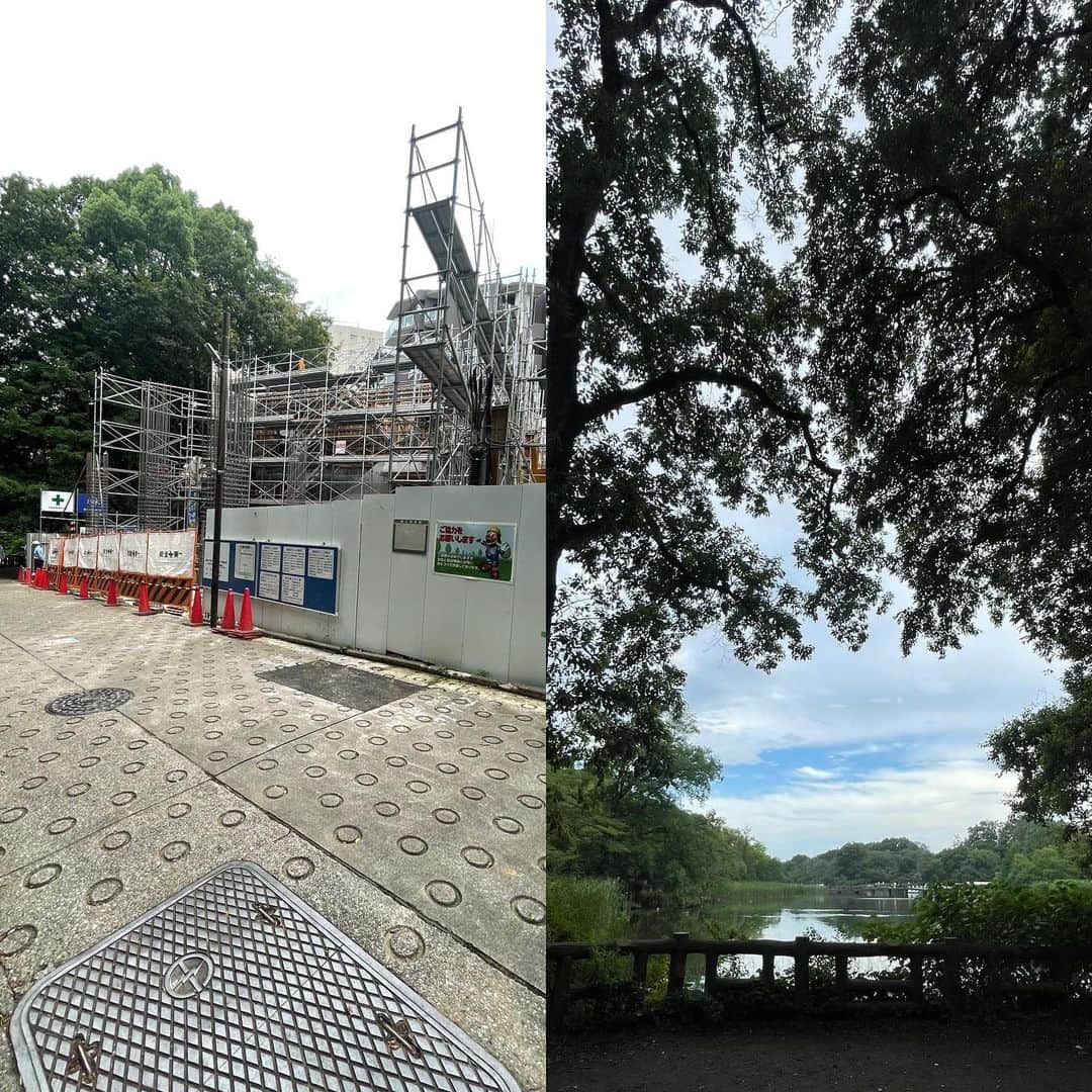森田繁のインスタグラム：「長いこと井の頭公園入り口の目印的だった旅館がいつのまにか取り壊されておりました。」