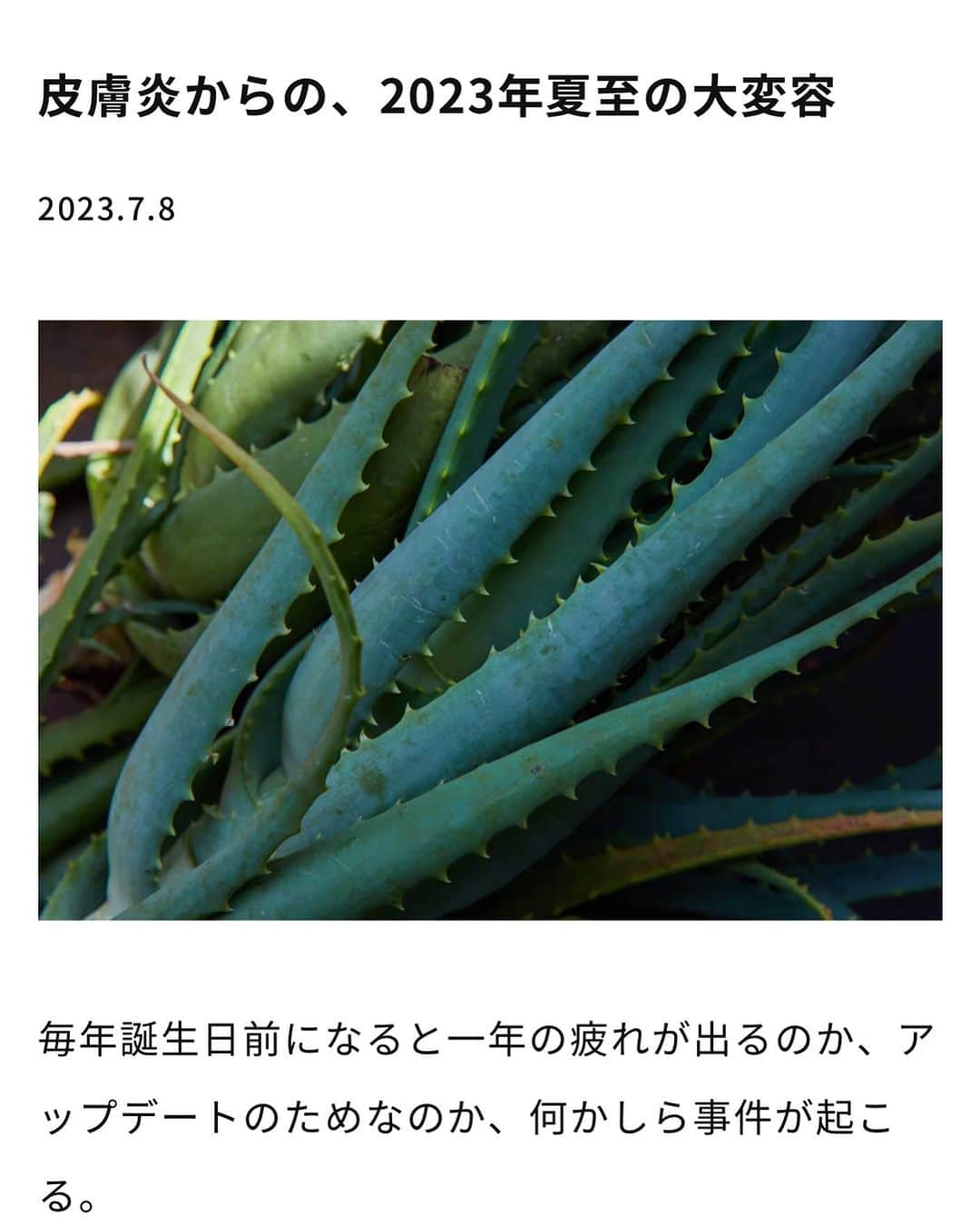 青山有紀さんのインスタグラム写真 - (青山有紀Instagram)「今回の皮膚炎のこと、そこからの氣付き、変容について、文章にまとめてみました。 プロフィールに貼り付けた［皮膚炎記事］urlまたはHP［読み物］からお読みいただけます💚」7月8日 16時14分 - yukiaoya