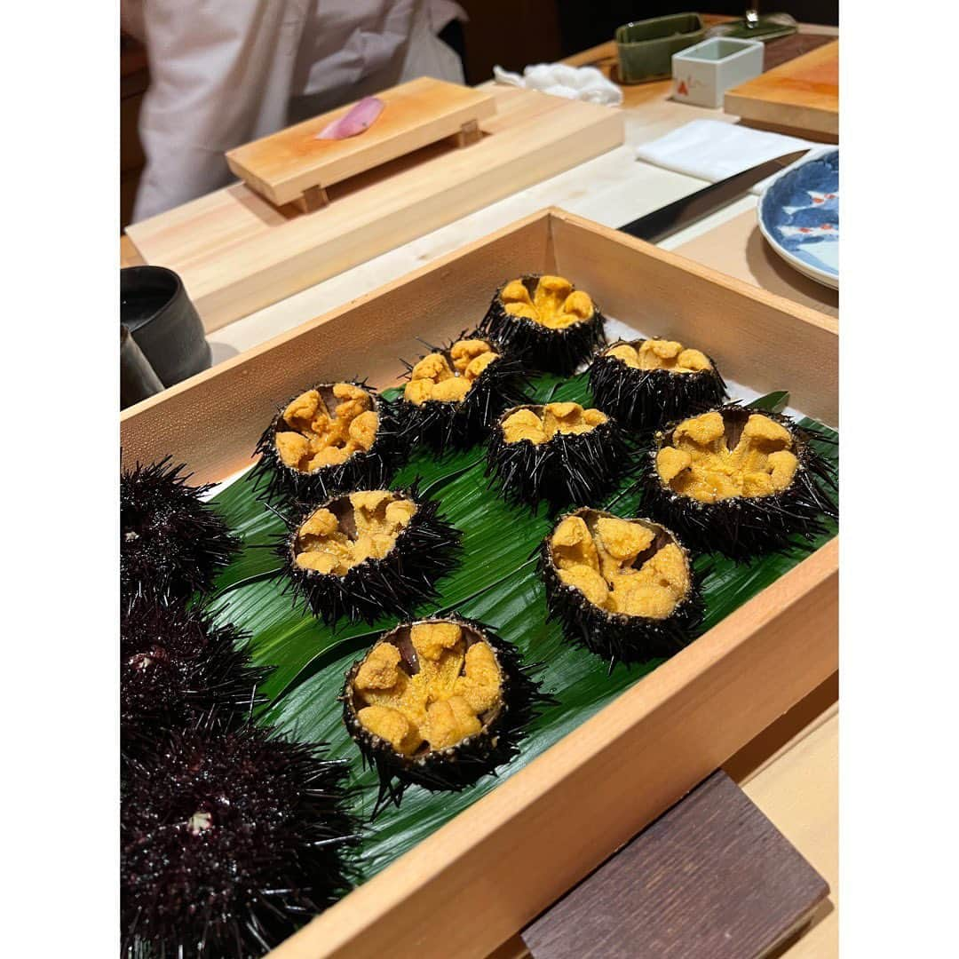 山下莉奈さんのインスタグラム写真 - (山下莉奈Instagram)「先日お誕生日会しました🎂  お寿司屋さんで🍣✨  この時期までの貴重なウニ丸ごと！！！ 初めての食べ方でした。 そのあと違うウニも食べ比べ😍丸ごとはさっぱりしつつ癖がないので永遠に食べれそう✨にぎりのウニは濃厚で海苔に負けない豊かな香り  どっちが好きか選べないくらい どっちも好き🤣❤️  しあわせごはんタイムでした✨」7月8日 16時30分 - rinayamashita