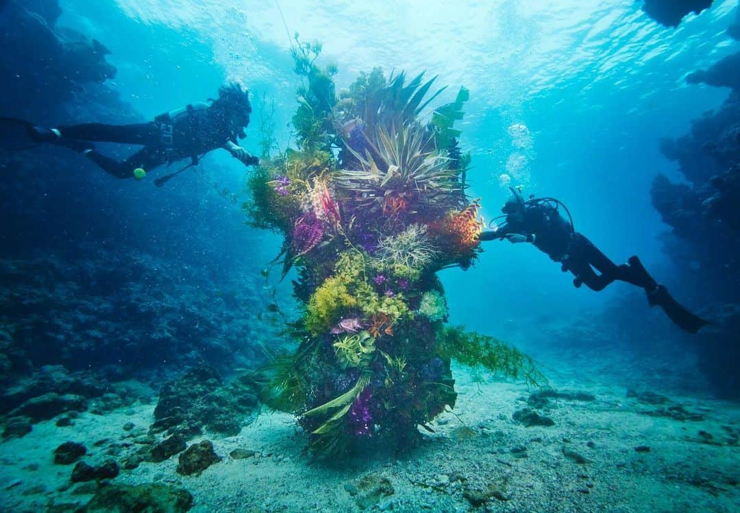 東信さんのインスタグラム写真 - (東信Instagram)「Botanical sculpture × In Bloom project - Sea #3  #azumamakoto #shiinokishunsuke #amkk #botanicalsculpture #inbloom  #sea  #flowerart #東信 #東信花樹研究所 #unexpectedscenery」7月8日 22時07分 - azumamakoto