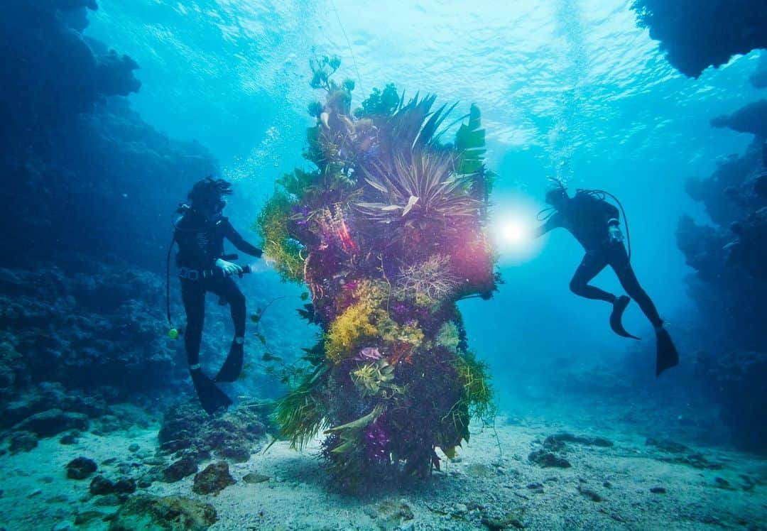 東信さんのインスタグラム写真 - (東信Instagram)「Botanical sculpture × In Bloom project - Sea #3  #azumamakoto #shiinokishunsuke #amkk #botanicalsculpture #inbloom  #sea  #flowerart #東信 #東信花樹研究所 #unexpectedscenery」7月8日 22時07分 - azumamakoto