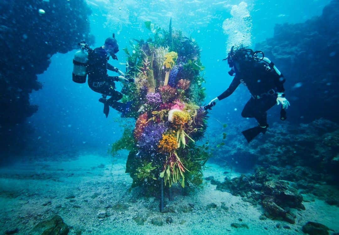 東信さんのインスタグラム写真 - (東信Instagram)「Botanical sculpture × In Bloom project - Sea #3  #azumamakoto #shiinokishunsuke #amkk #botanicalsculpture #inbloom  #sea  #flowerart #東信 #東信花樹研究所 #unexpectedscenery」7月8日 22時07分 - azumamakoto