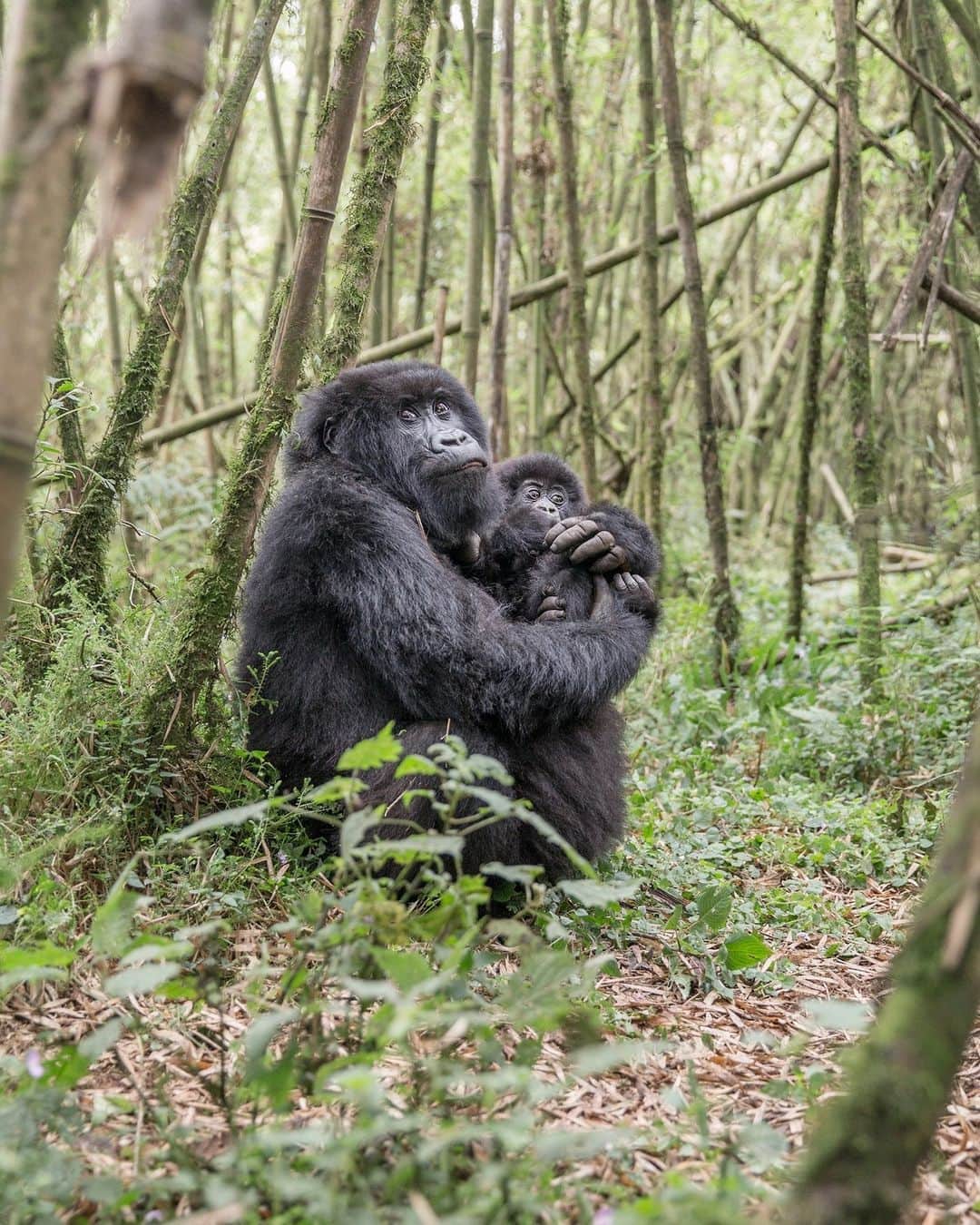 instagram-photos-by-andrea