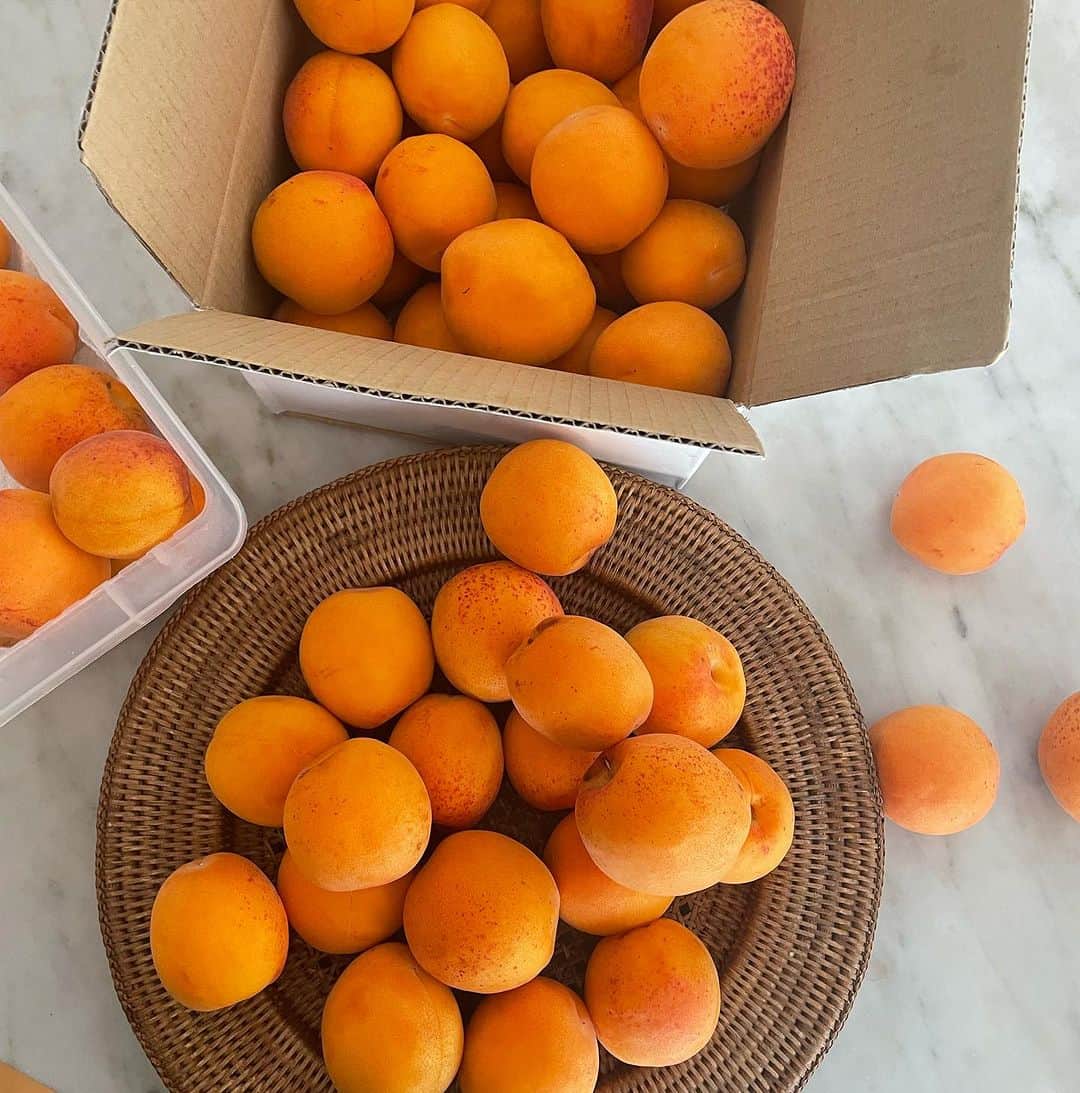 若山曜子のインスタグラム：「杏の季節ですね。 いーっつも、もう少し買えばよかったと後悔するので、今年は少し多めに。こちらは信州大実。そして、家の近くのスーパーには立派なハーコットが。今年こそはちゃんと名前を書いて味比べをしてみよう。  杏の種の中には宝物が。そう杏仁。です。  トンカチでおっかなびっくり割ってみれば、ふわーーとえもいえぬ香り。 華やかで近寄りがたいくらいな、、高貴な香りで、やっぱり杏は薔薇科の果物なんですねえ。  さて、この香りで何作ろうかな。定番は杏仁豆腐でしょうか。暑いので杏仁のソルベもいいなあ。  ソルベといえば #バットや保存袋で作れるアイスアンドアイスケーキ　から週末、少しレシピをアップしようかなと思います。 まずはグレープフルーツとアールグレイのソルベから。。さっぱりしててほんと美味しいのです。アールグレイとグレープフルーツ、砂糖と蜂蜜だけでできます。」