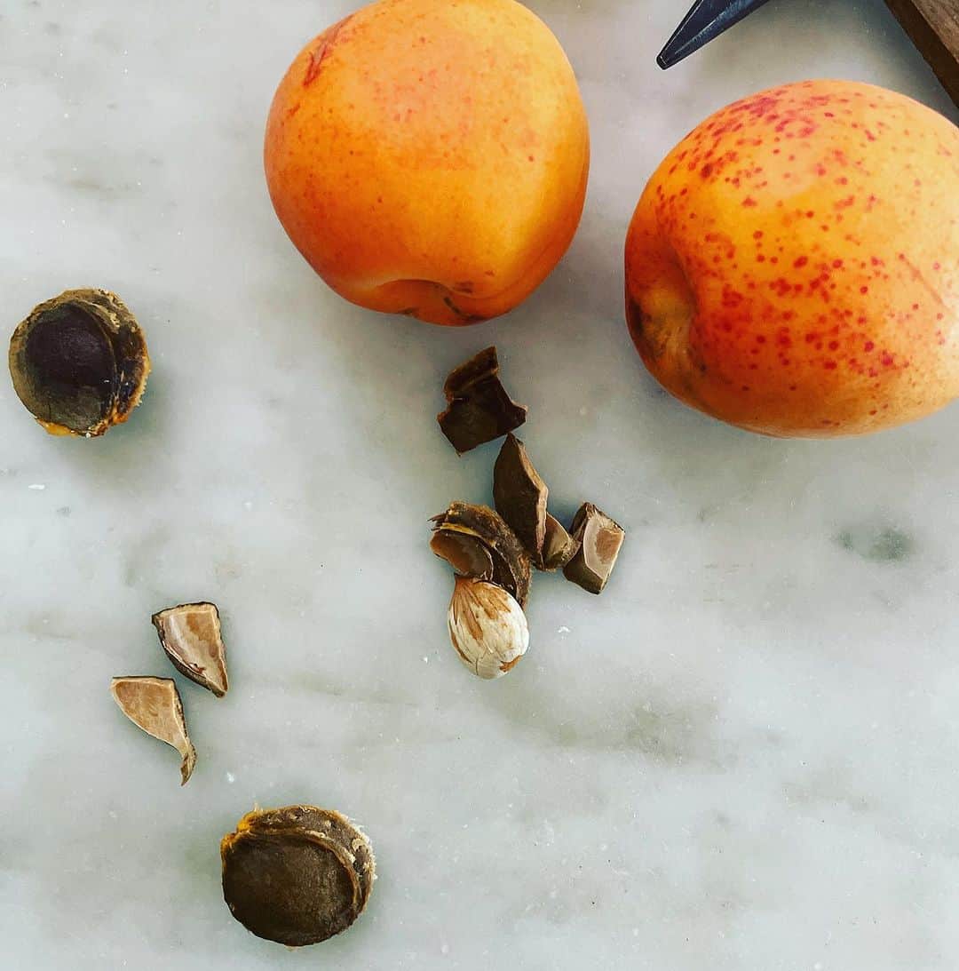 若山曜子さんのインスタグラム写真 - (若山曜子Instagram)「杏の季節ですね。 いーっつも、もう少し買えばよかったと後悔するので、今年は少し多めに。こちらは信州大実。そして、家の近くのスーパーには立派なハーコットが。今年こそはちゃんと名前を書いて味比べをしてみよう。  杏の種の中には宝物が。そう杏仁。です。  トンカチでおっかなびっくり割ってみれば、ふわーーとえもいえぬ香り。 華やかで近寄りがたいくらいな、、高貴な香りで、やっぱり杏は薔薇科の果物なんですねえ。  さて、この香りで何作ろうかな。定番は杏仁豆腐でしょうか。暑いので杏仁のソルベもいいなあ。  ソルベといえば #バットや保存袋で作れるアイスアンドアイスケーキ　から週末、少しレシピをアップしようかなと思います。 まずはグレープフルーツとアールグレイのソルベから。。さっぱりしててほんと美味しいのです。アールグレイとグレープフルーツ、砂糖と蜂蜜だけでできます。」7月8日 17時15分 - yoochanpetite
