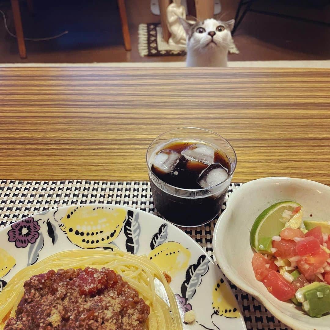 入山法子さんのインスタグラム写真 - (入山法子Instagram)「朝ごはんとか晩ごはんとか。 暑さに負けまいと炭水化物多め…。  ❶夏はキーマだよね〜！🏖️ ❷冷凍してたそら豆ディルごはんに、ラムステーキ。 ❸麻婆丼 ❹先日のタコパで余ったタコミートでタコライス。 ❺先日のタコパで余ったタコミートでパスタ。と、ミズ。 ❻夏はそうめんだよね〜！と、ミズ。(クッションの乱れご容赦ください。) ❼なんでもない日、3連発。イチ、 ❽ニ、 ❾サン。 ➓桃ディルは、桃にホイップしたギリシャヨーグルトをぽてっと添えて、はちみつをまわしかけて、塩胡椒、で、ディルです☺️🍑🌿✨」7月8日 17時26分 - iriyamanoriko_official