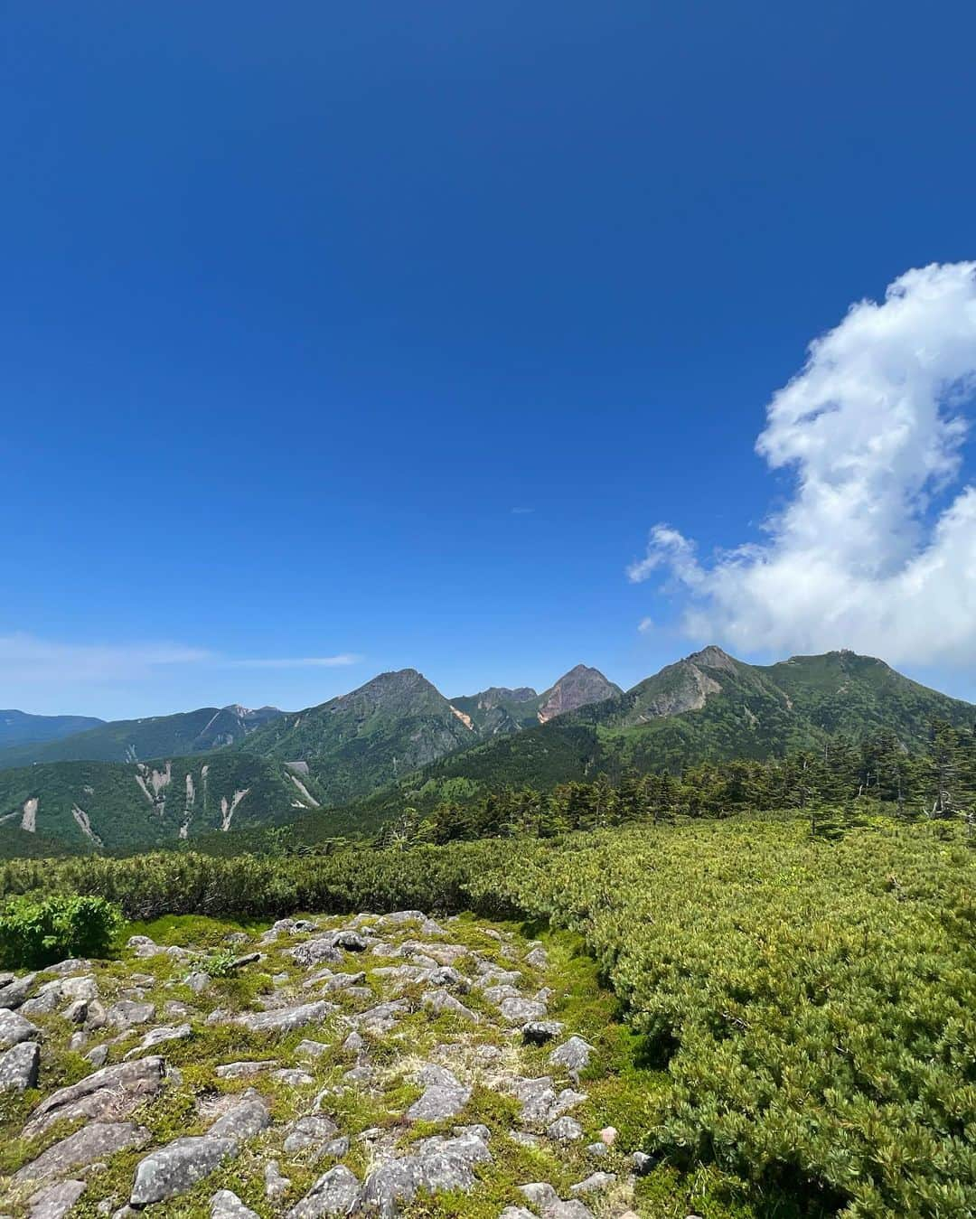 中村優さんのインスタグラム写真 - (中村優Instagram)「⛰️編笠山⛰️2524m おろしたての @salomon_japan のシューズで登ったけど、軽くてかなり快適だった🥾🤎 @orangebackpackers #登山#八ヶ岳#編笠山#山が好き#山スタグラム」7月8日 17時52分 - nkmr_yu