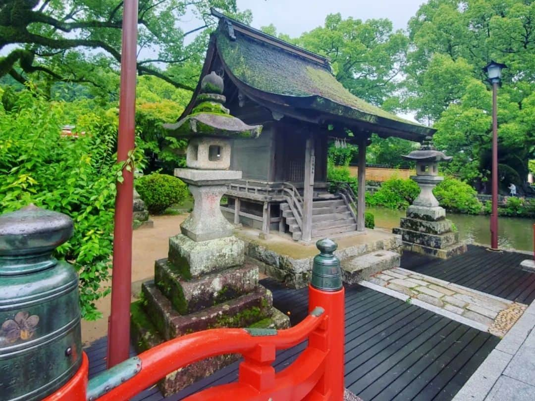 西真理子さんのインスタグラム写真 - (西真理子Instagram)「⛩太宰府天満宮⛩  ラーメン後太宰府へ！向かってる途中大雨😨参道途中雨宿りしながら向かい着く頃には雨も小雨に✨  何も調べずいったのでスポット抑えてなかったけど、楼門、太鼓橋、そして御本殿は新しくなったみたいで木が生えてた‼️とても綺麗でパワーを感じました😊樟若葉には苔が生えていて生命力を感じたなぁ✨ 心の中でトトロの曲が流れてましたw　御神牛もしっかりなでなでしてきました😁  丁度10年前位に一人できた事があったけどまさか家族で来れるなんて感慨深い。 3つの橋は過去、現在、未来を表す橋なんだって！未来の力をもらってこれからに備える事ができました🤭 駅も素敵🏵電車も好きな息子は色んな色の電車を見て大満足💓 初めてベビーカーなしで電車乗ったけどとってもお利口さんにしてそのまま寝落ち🤭パパも一緒にねw 一人で沢山歩いてよく頑張りました❤因みにお守りは2万円分近く買いました😂効きますように☘  #太宰府天満宮 #福岡 #弾丸 #子連れ旅行 #パワースポット #皆丑年 #おみくじ  #ここ数年 #末吉 #大吉引きたい」7月8日 18時35分 - mari.nishi.7