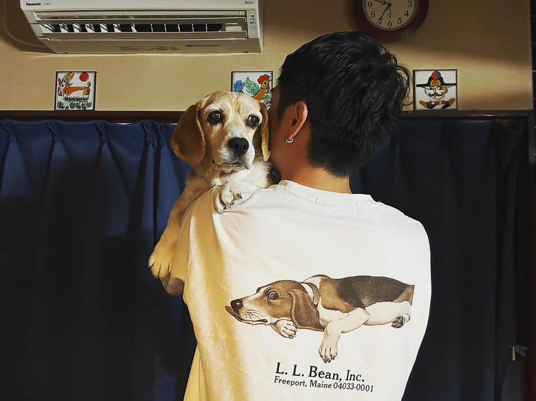松本岳さんのインスタグラム写真 - (松本岳Instagram)「Amiは10キロあります。 かわぇぇー。 3月末に亡くなったnoaにそっくりなバックプリントのL.L.BeanのTシャツを両親とお揃いでプレゼントしました。 富山ありがとうございました。 #富山」7月8日 19時09分 - gaku_22