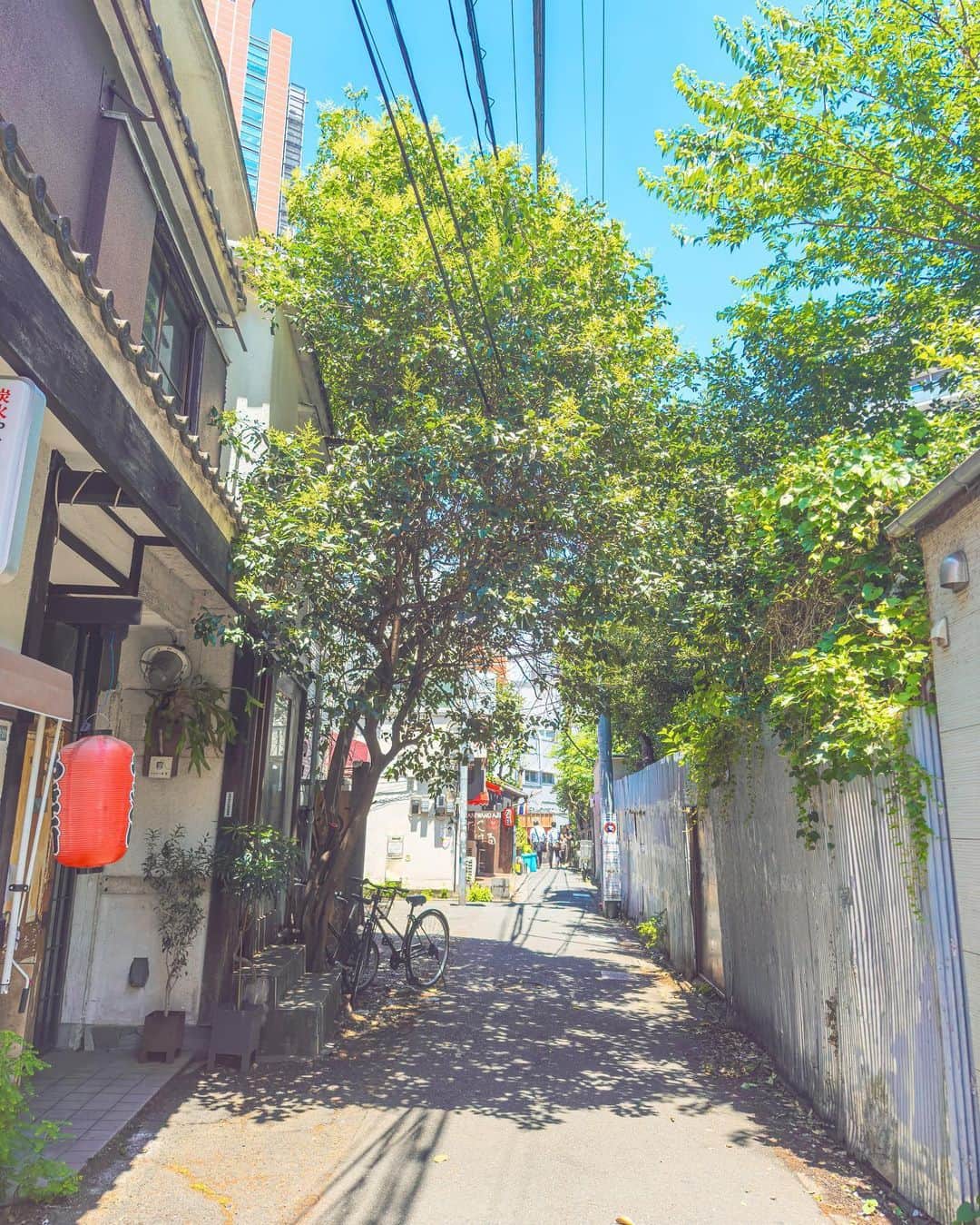 Shotaのインスタグラム：「そこにはまるでジブリのような世界が広がっていた  写真集「何気ない日常をアニメチックに。」Amazon販売中です！  気になってくださった方は、プロフィールのハイライトよりリンクをご確認いただければと思います！！  #アニメチック  #japan #photography #photo #lightroom #blue #kf_gallery #raw_japan #japangem #photo_shorttrip  #photo_travelers  #japan_bestpic_  #japan_photogroup  #japantravelphoto  #lovers_nippon  #best_photo_japan  #photo_map  #5min_japan #look_japan  #tabispo #total_japan #thelifejapan #雲フェチクラブ」