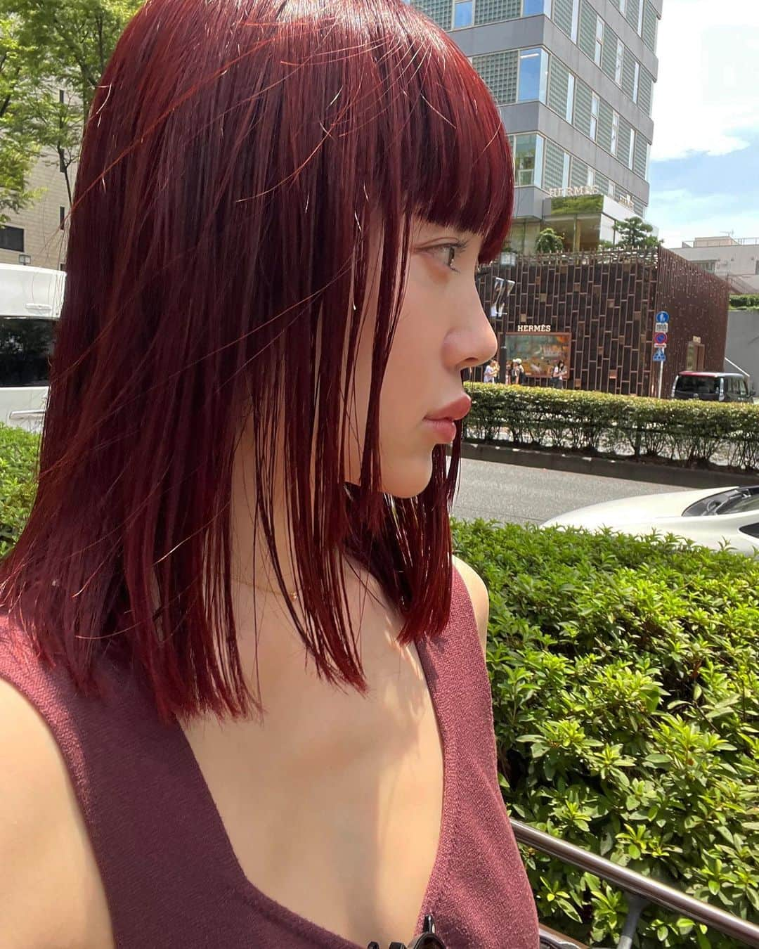 島居玲子さんのインスタグラム写真 - (島居玲子Instagram)「hair color🍒  @mako_oikawa ♡」7月8日 19時47分 - reicoooshima