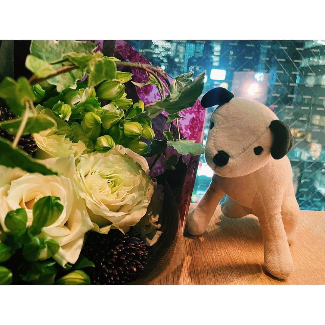 おかゆのインスタグラム：「🎼🐶💐🎶🎸💫🌈  今日は7月8日　七転び八起きの日  いつも応援下さる皆様、支えて下さる皆様、 携わって下さる皆様、天国の母へ… 本当にありがとうございます🥲✨  母の口癖だった【七転び八起き幸せに】 今では私の心の口ぐせです🎸☺️  #何度倒れても立ち上がる  #何度転んでも起き上がる #母と私の七転び八起き #いつまでもどこまでも続け幸せに」