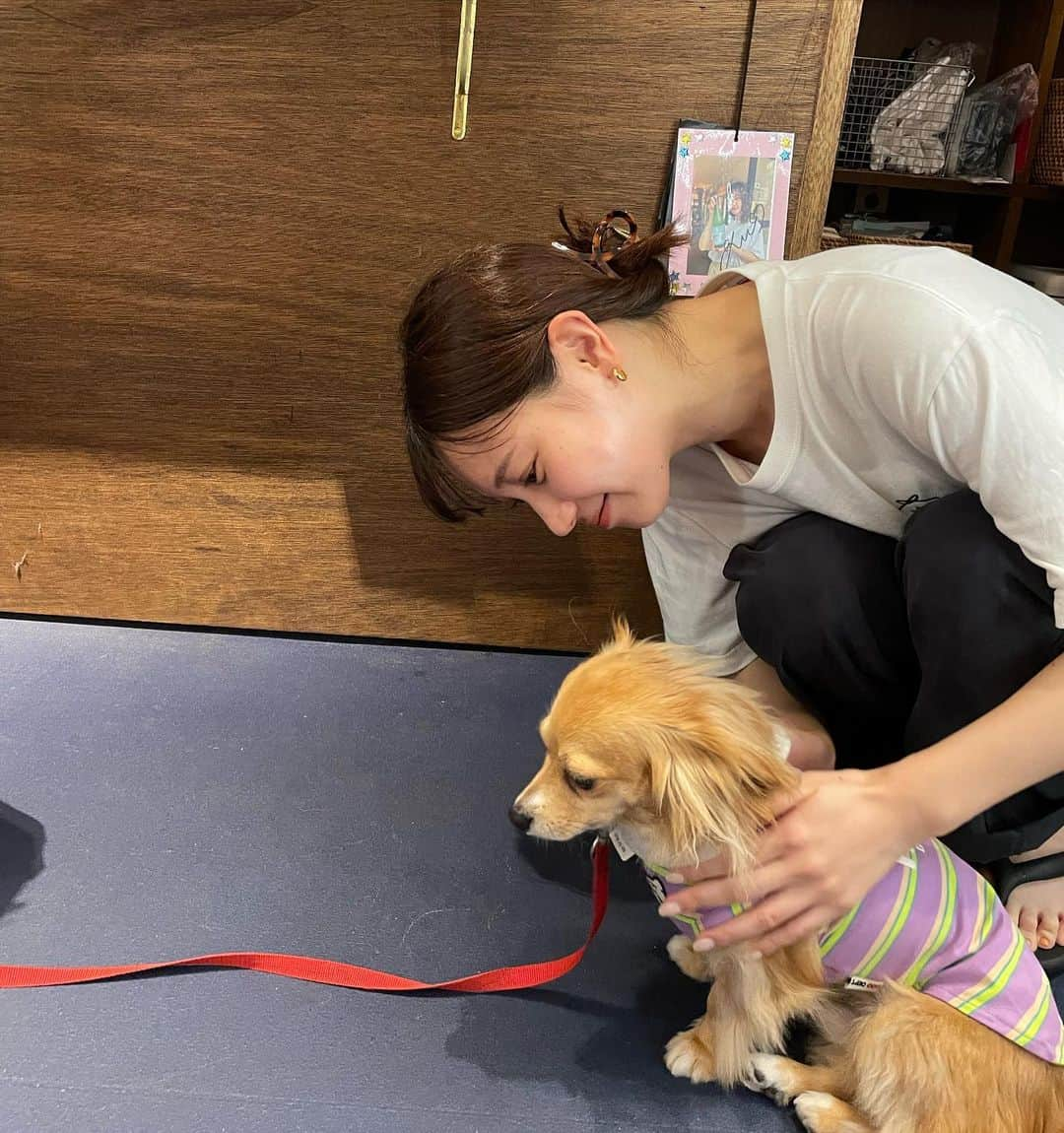 高野祐衣のインスタグラム：「横顔似てませんか？（笑）  #🐶 #❤️」