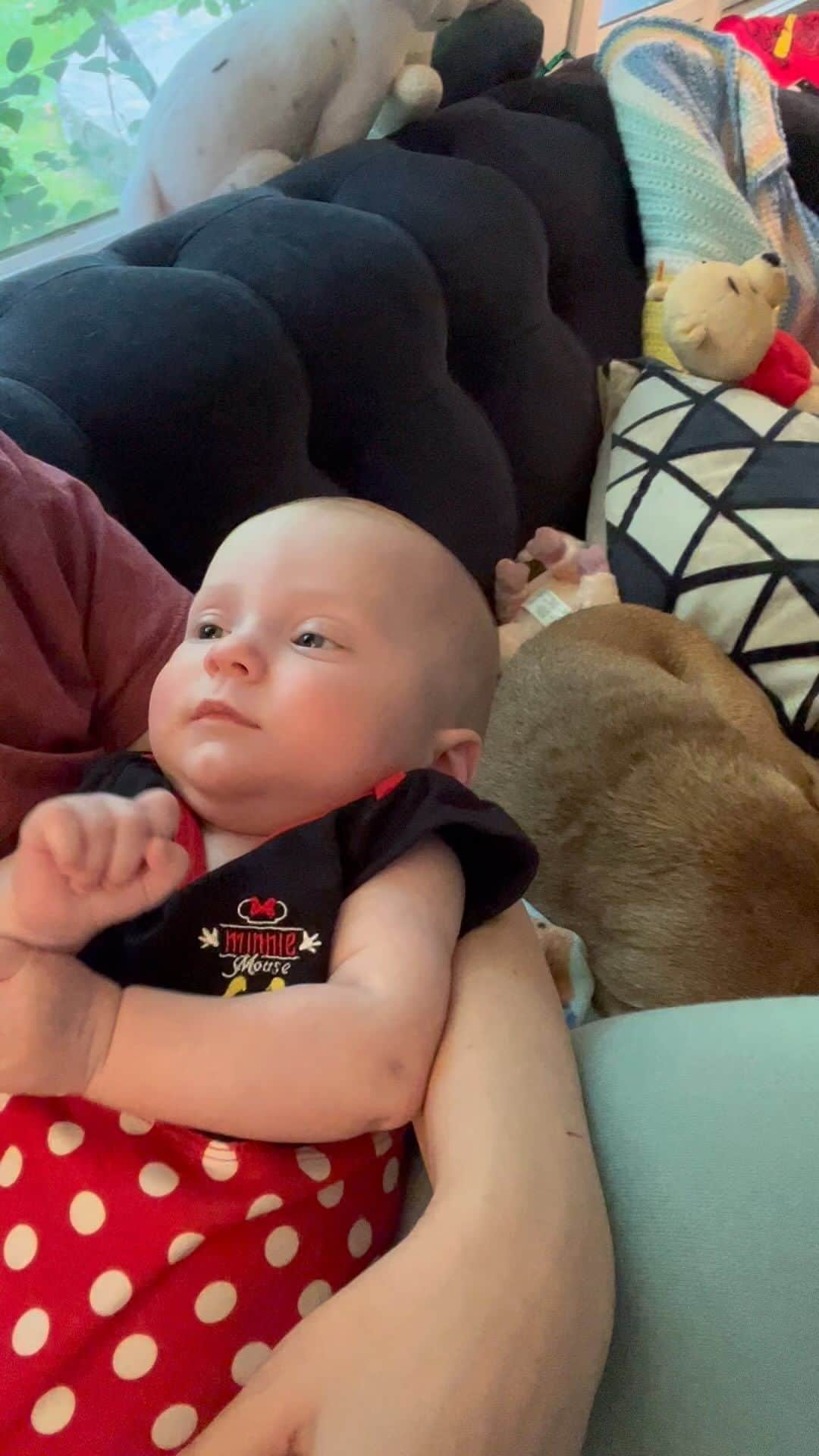 コリン・ドネルのインスタグラム：「Tried to catch Lorelai “singing” with me as Cecily watched Little Mermaid. Whenever I sing, Lorelai looks at me very intently and then starts gurgling along. I would have thought this was impossible once, but after Cecily coming out of the womb with perfect pitch, I know it’s just in her DNA ♥️」
