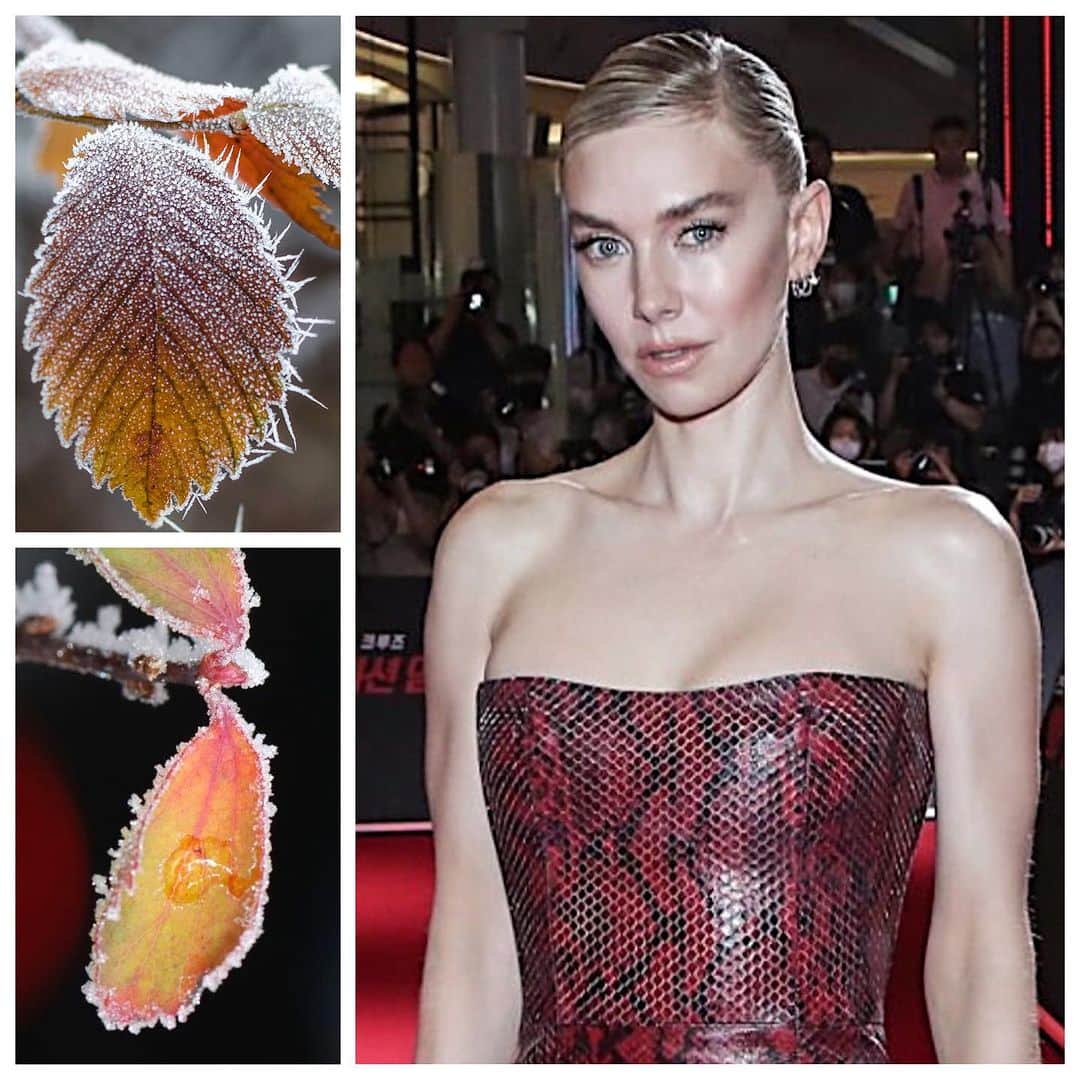 JO BAKERのインスタグラム：「V A N E S A • K I R B Y 🇬🇧 A touch of wintry frost…icy hi-lighted complexion with futuristic minimalism for #vanessakirby for #missionimpossible premiere in #seoul last week…」