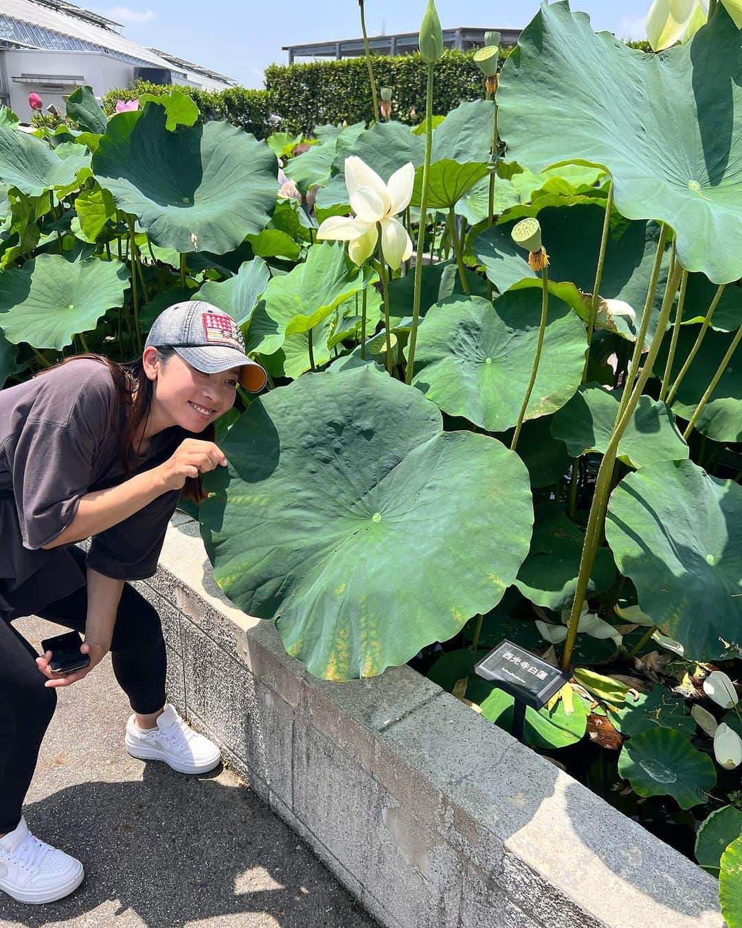 森田理香子のインスタグラム：「． ． トトロの傘みたいやん🤍 顔よりでかい葉🍃  いろんな植物があって新鮮やった また行きたいなっ🚶‍♀️  #好きな場所が増えていく#パワースポット #綺麗#癒し#お花#植物たち#年齢層高め」