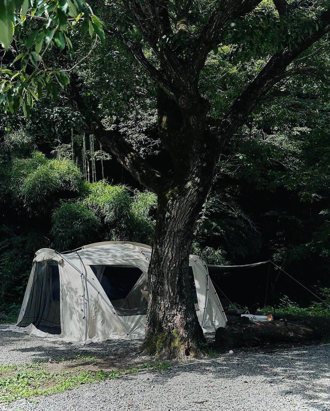 yumeさんのインスタグラム写真 - (yumeInstagram)「day camp 🏕️ 今年は青根キャンプ場へ〜 ♡  夏なので、暑さ恐れていたけど 川沿いなので涼しくて過ごしやすかったです！ はやめに夏感じれて最高day ☀️  キャンプコーデは韓国でgetした @thebarnnet の帽子と @luft_mansion トート♡」7月8日 22時28分 - tan___gram