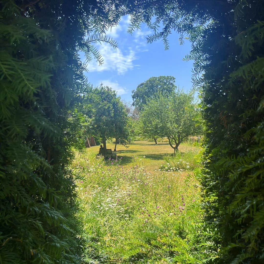 ローラ・ヴァンダーヴォートさんのインスタグラム写真 - (ローラ・ヴァンダーヴォートInstagram)「A secret garden 🪴UK Edition.」7月8日 22時37分 - lauravandervoort