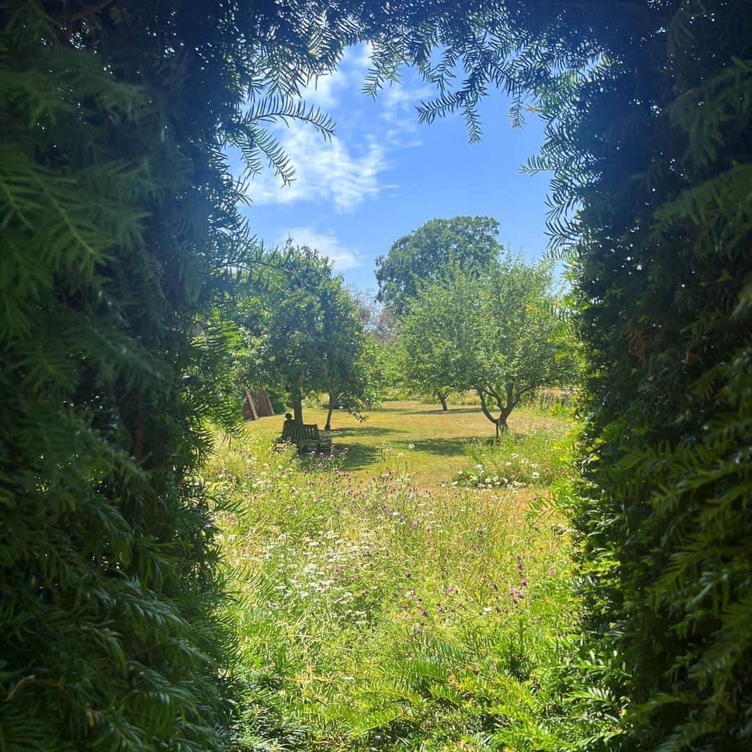 ローラ・ヴァンダーヴォートのインスタグラム：「A secret garden 🪴UK Edition.」