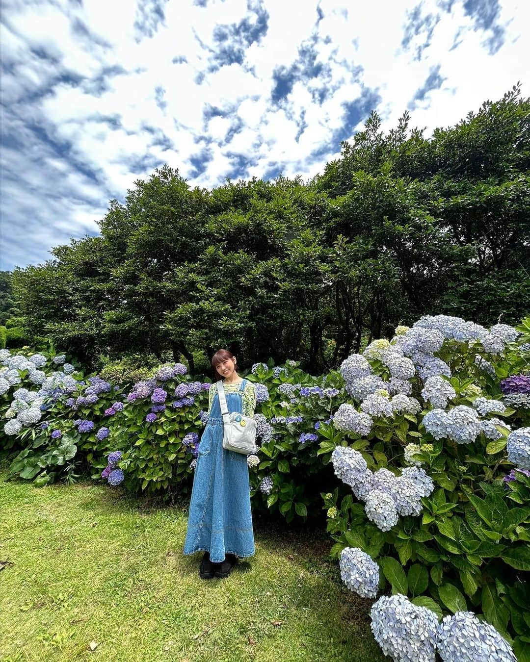 幹葉（スピラ・スピカ）さんのインスタグラム写真 - (幹葉（スピラ・スピカ）Instagram)「紫陽花幹葉🫐 #能古島 #のこのしまアイランドパーク #福岡 #島 #紫陽花」7月8日 23時01分 - kanbajyanaiyo