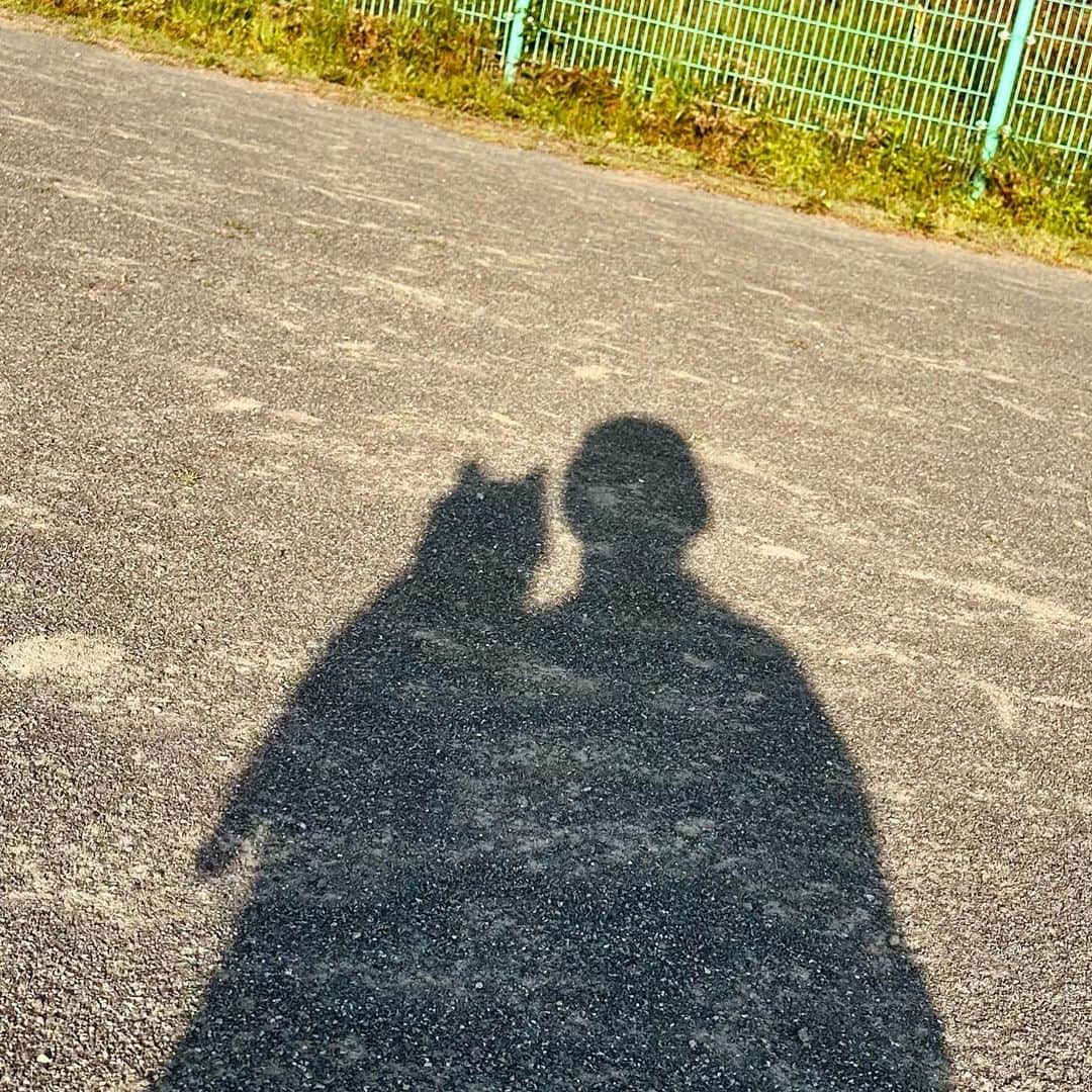 のインスタグラム：「お誕生日でした！　#犬の」