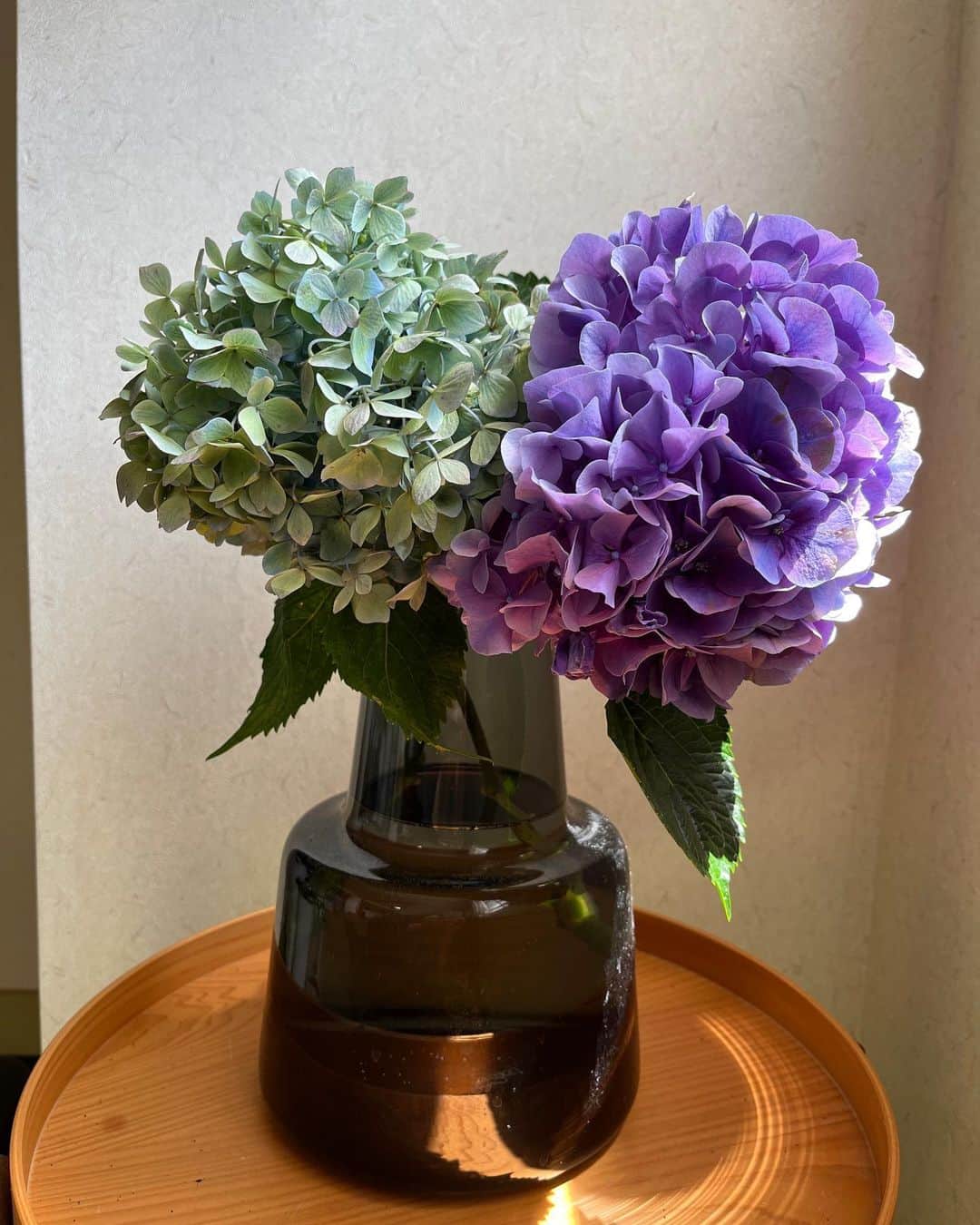 福田葉子さんのインスタグラム写真 - (福田葉子Instagram)「あじさいツインズ。芍薬に紫陽花、大ぶり&大輪の花が好きなのは、生けるのが楽ちんで大雑把な性格だからだろうか…。 ほんとに好きなのは梅雨時期ではなく、秋紫陽花なのだが。きれいですよね。しみじみ眺める。 #hydrangea #summer #rainy #love #flower #紫陽花　#あじさい　#好きな花　#お花　#花のある暮らし」7月8日 23時32分 - yoyoyokoko