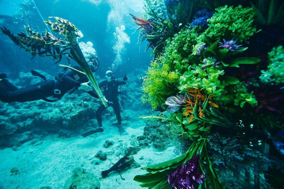 東信さんのインスタグラム写真 - (東信Instagram)「Botanical sculpture × In Bloom project - Sea #3  #azumamakoto #shiinokishunsuke #amkk #botanicalsculpture #inbloom  #sea  #flowerart #東信 #東信花樹研究所 #unexpectedscenery」7月9日 4時13分 - azumamakoto