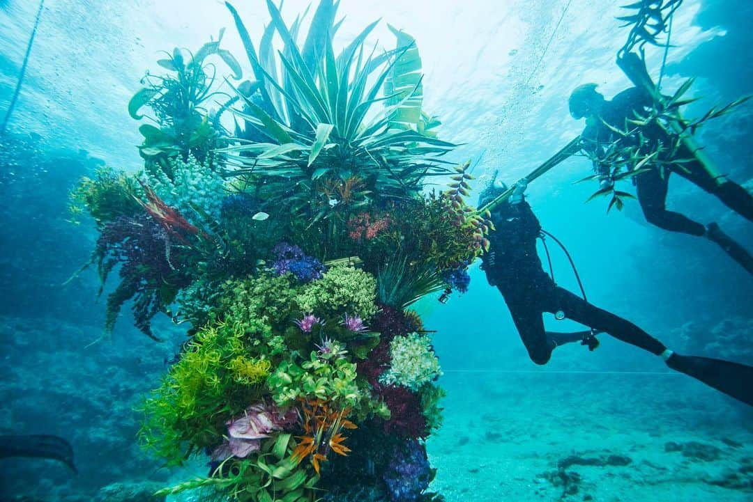 東信さんのインスタグラム写真 - (東信Instagram)「Botanical sculpture × In Bloom project - Sea #3  #azumamakoto #shiinokishunsuke #amkk #botanicalsculpture #inbloom  #sea  #flowerart #東信 #東信花樹研究所 #unexpectedscenery」7月9日 4時13分 - azumamakoto