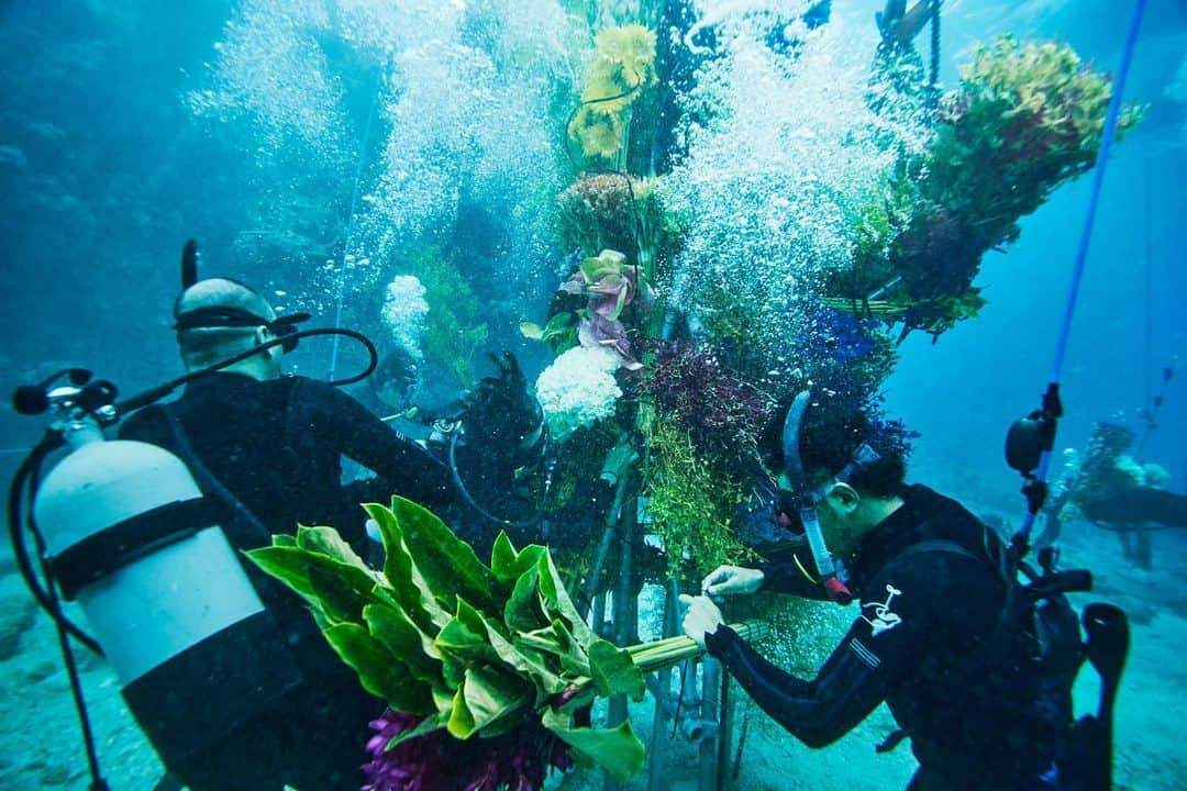 東信さんのインスタグラム写真 - (東信Instagram)「Botanical sculpture × In Bloom project - Sea #3  #azumamakoto #shiinokishunsuke #amkk #botanicalsculpture #inbloom  #sea  #flowerart #東信 #東信花樹研究所 #unexpectedscenery」7月9日 4時13分 - azumamakoto