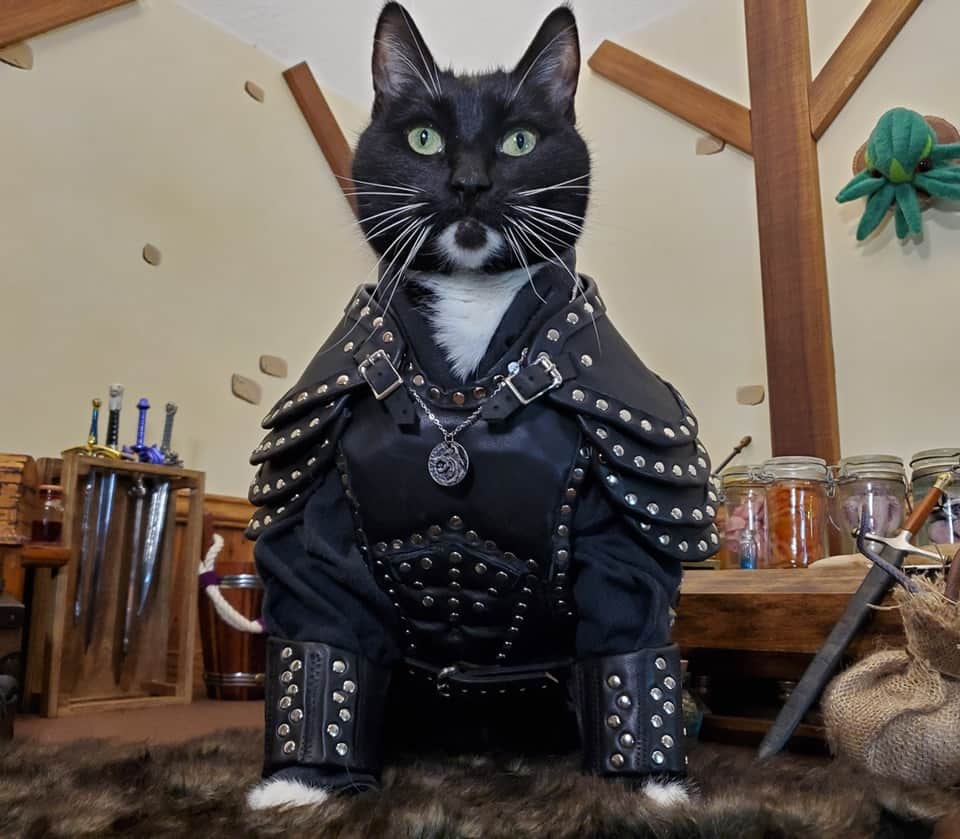 のインスタグラム：「"Wind's meowing..."  #TheWitcher #geralt #geraltofrivia  . . . . #witcher #witchernetflix #geraltofriviacosplay #thewitchercosplay #thewitcherfanart #geraltcosplay #catcosplay #cosplay #cosplayer #cat #catcostume #catsinclothes #petclothes #PetCostume #petarmor #catarmor #leatherarmor #leatherwork」