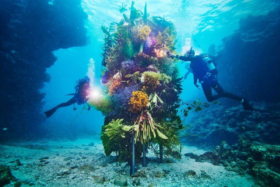 椎木俊介さんのインスタグラム写真 - (椎木俊介Instagram)「Botanical sculpture × In Bloom project - Sea #3  #azumamakoto #shiinokishunsuke #amkk #botanicalsculpture #inbloom  #sea  #flowerart #東信 #東信花樹研究所 #unexpectedscenery」7月9日 5時20分 - shiinokishunsuke