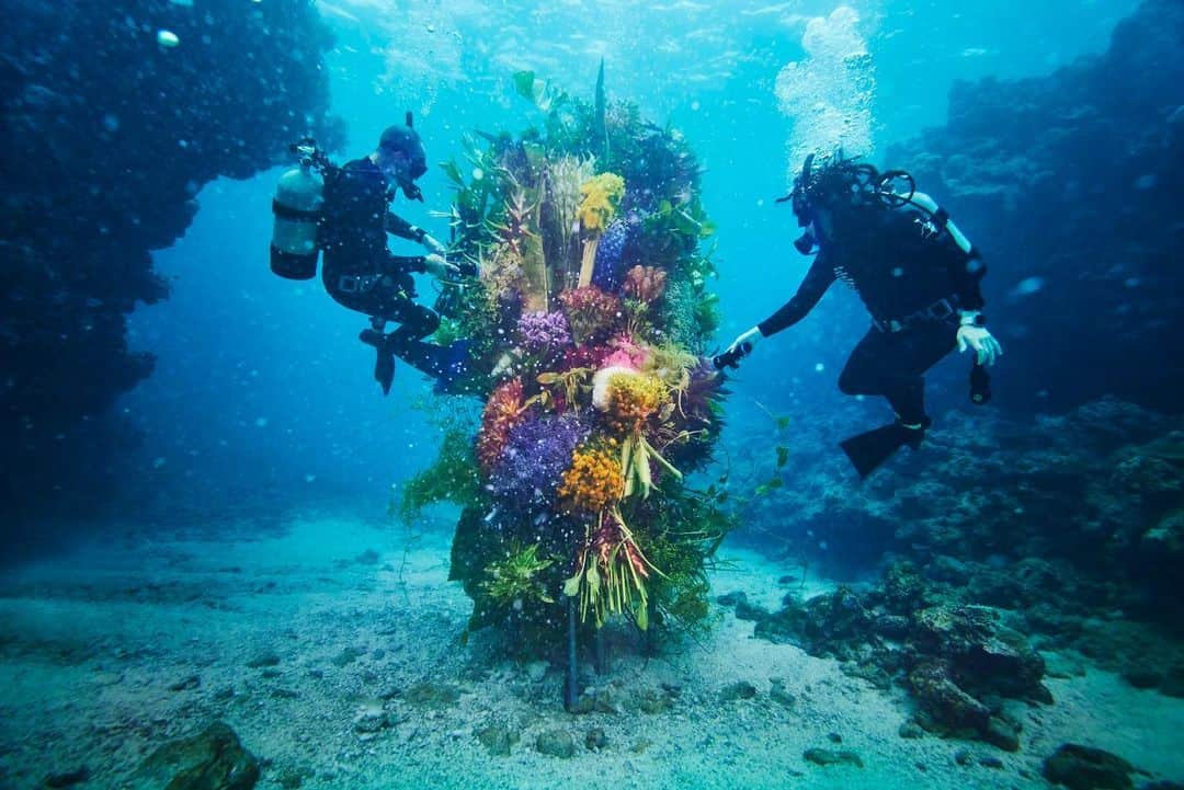 椎木俊介さんのインスタグラム写真 - (椎木俊介Instagram)「Botanical sculpture × In Bloom project - Sea #3  #azumamakoto #shiinokishunsuke #amkk #botanicalsculpture #inbloom  #sea  #flowerart #東信 #東信花樹研究所 #unexpectedscenery」7月9日 5時20分 - shiinokishunsuke