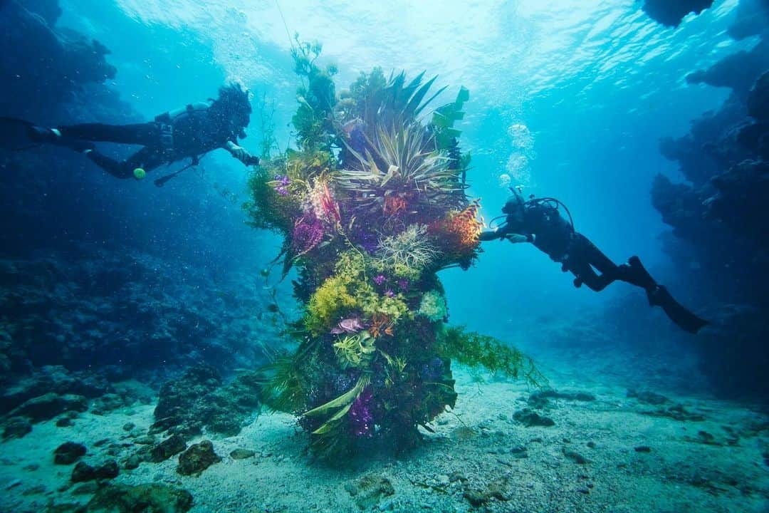 椎木俊介さんのインスタグラム写真 - (椎木俊介Instagram)「Botanical sculpture × In Bloom project - Sea #3  #azumamakoto #shiinokishunsuke #amkk #botanicalsculpture #inbloom  #sea  #flowerart #東信 #東信花樹研究所 #unexpectedscenery」7月9日 5時20分 - shiinokishunsuke