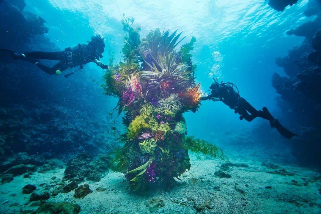 椎木俊介のインスタグラム：「Botanical sculpture × In Bloom project - Sea #3  #azumamakoto #shiinokishunsuke #amkk #botanicalsculpture #inbloom  #sea  #flowerart #東信 #東信花樹研究所 #unexpectedscenery」