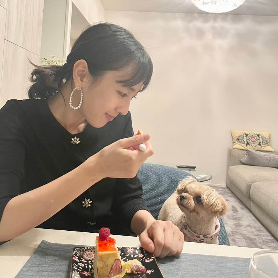 杉野希妃さんのインスタグラム写真 - (杉野希妃Instagram)「それあたちのなんですけどー🐶🍓」7月9日 16時29分 - kikisugino