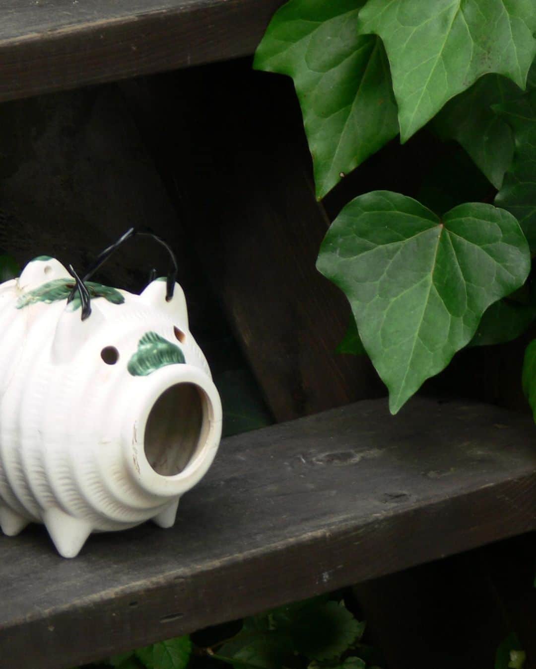職人.comさんのインスタグラム写真 - (職人.comInstagram)「【蚊遣豚（かやりぶた）】  日本ならではのユニークな夏の風物詩といえば、「蚊遣豚」もその一つではないでしょうか？豚の形をした陶器の蚊遣豚に入れた蚊取り線香から細い煙がたなびく様子は、映画やアニメでも使用されていることから、外国の方にも少なからず知られており、三重県四日市市の萬古焼や、愛知県の常滑焼の蚊遣豚をお土産に買い求める旅行者もいるようです。  そもそもどうして豚なのか、という理由には諸説ありますが、蚊取り線香が発明される以前の時代には、野外で香りの強い蓬（よもぎ）や松などの葉を火にくべて蚊を追い払う「蚊遣火」の習慣が存在していました。平安時代、もしくは奈良時代から大正初期ごろまではそういった防虫対策が主流で、野外で蚊よけのために壺に草木を入れて燻す習慣が存在したことから、壺を横にした形がやがて豚に形を変えたというように考えられています。または、野生の豚（イノシシ）を火伏せの神様として信仰していたという説、豚は毛に覆われているため、蚊に刺されにくいからという考えなど。実用的な蚊遣りとどこか愛嬌のある豚の組み合わせが今でも続いているのは、「かわいい」が時代を超えて認知され、愛されている証拠かもしれません。  当店では残念ながら蚊遣豚の取り扱いはありませんが、伊勢型紙の図柄をモチーフにしたくわな鋳物の蚊やり器がございます。蚊やり器は、毎年品薄になるほどの大ヒット商品。あのプーンという音が聞こえてきたら、いよいよ蚊遣り器が活躍する季節の始まりですね。  くわな鋳物　蚊やり器 https://www.shokunin.com/jp/kuwana/kayariki.html  参考資料 https://rupe.exblog.jp/20665400/ https://ja.ukiyo-e.org/image/jaodb/Shuntei_Miyagawa-Flowers_of_the_Floating_World-Mosquito-00040645-070604-F12 https://ja.wikipedia.org/wiki/%E8%9A%8A%E9%81%A3%E5%99%A8#:~:text=%E8%B1%9A%E3%82%92%E6%A8%A1%E3%81%A3%E3%81%9F,%E7%90%86%E7%94%B1%E3%81%AB%E3%81%AF%E8%AB%B8%E8%AA%AC%E3%81%82%E3%82%8B%E3%80%82 https://www.homes.co.jp/life/cl-column/cm-region/21880/  @shokunincom  #職人ドットコム #かやりぶた #蚊遣豚 #かやり豚 #蚊遣り豚 #蚊やり豚 #蚊遣器 #蚊やり器 #蚊遣り器 #鳥居清峯 #鳥居清峰 #蚊遣美人 #蚊遣り美人 #蚊遣美人図 #蚊遣り美人図 #夏の風物詩 #くわな鋳物 #桑名鋳物 #かやりき #山崎宏 #ヤマサキデザインワークス #蚊遣火 #かやりび」7月9日 15時21分 - shokunincom