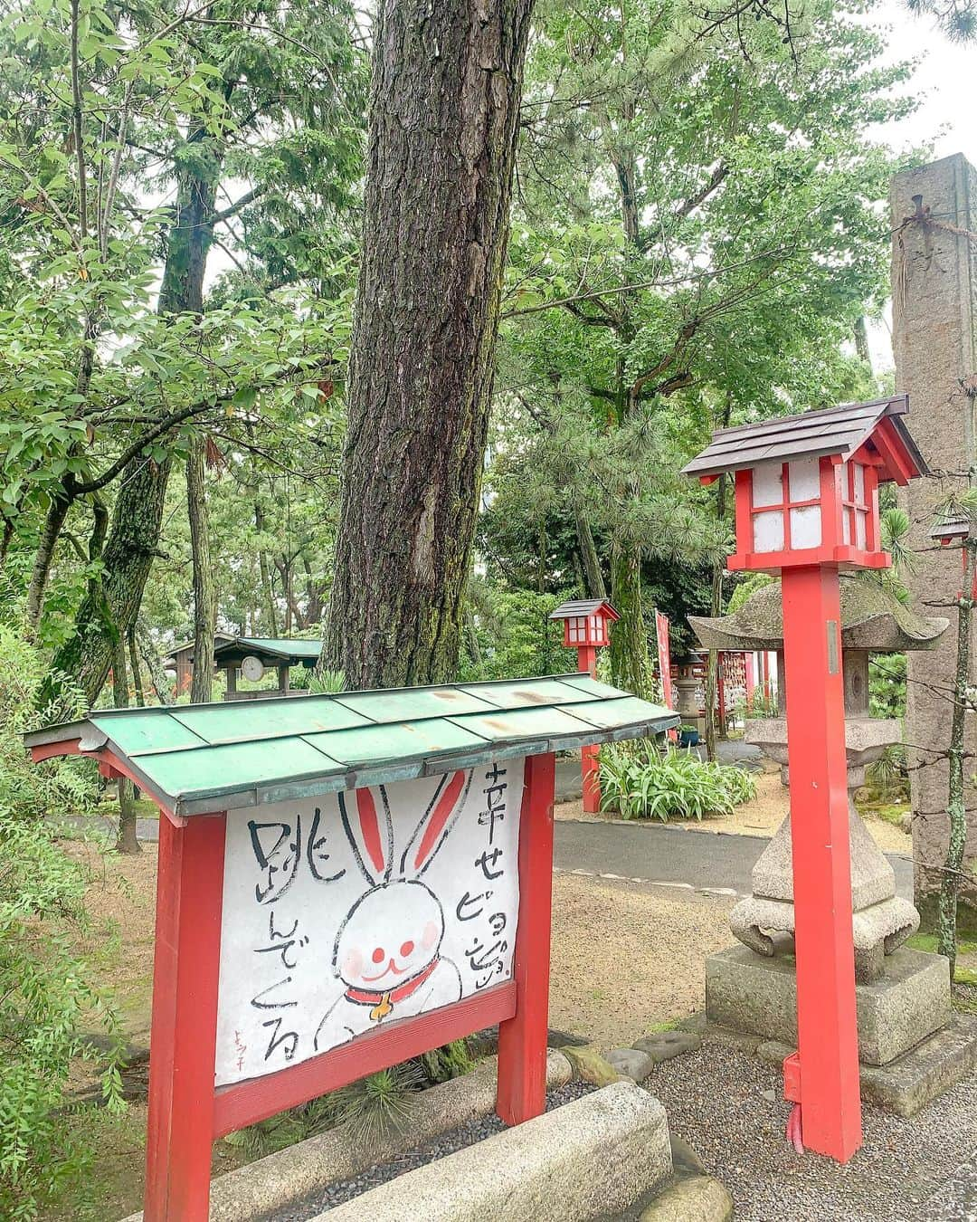 中橋舞さんのインスタグラム写真 - (中橋舞Instagram)「. run🏃‍♀️💨 13km🩴sandal run  着いたのは #藤田神社 という神社⛩ うさぎいっぱい🐇可愛い神社  手水舎に紫陽花や短冊が🎋 たくさん"家族が元気で過ごせますように"と子供の可愛い文字で書かれていて癒されました💓  ウサギの絵馬が可愛い神社 入口にも "幸せピョンピョン跳んでくる"🐇の 可愛いイラスト  昔御朱印ランをよくしていたけど 岡山の神社巡るのも楽しそうやなと 今度天気のいい時にリベンジしよかな  道中の半分は田んぼ見ながらのランで 長閑やなぁと🏃‍♀️ 街中を走るのもいいけれど 長閑な景色はいいものだ☺️ (めっちゃ鳥いた！！)  走った後はバケツの水をかぶったみたいな汗だった🤣  #ランニング #ラン #神社巡り  #サンダルラン #ママランナー #⛩ #ランニング女子 #岡山 #岡山神社 #藤田神社 #japanphoto  #okayama #岡山 #日本の風景  #japan_photo_now」7月9日 15時23分 - mai_nakahashi