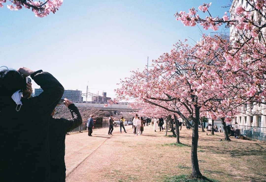 森本奈緒さんのインスタグラム写真 - (森本奈緒Instagram)「春から初夏。 #orympusxa2」7月9日 15時32分 - naomorimoto