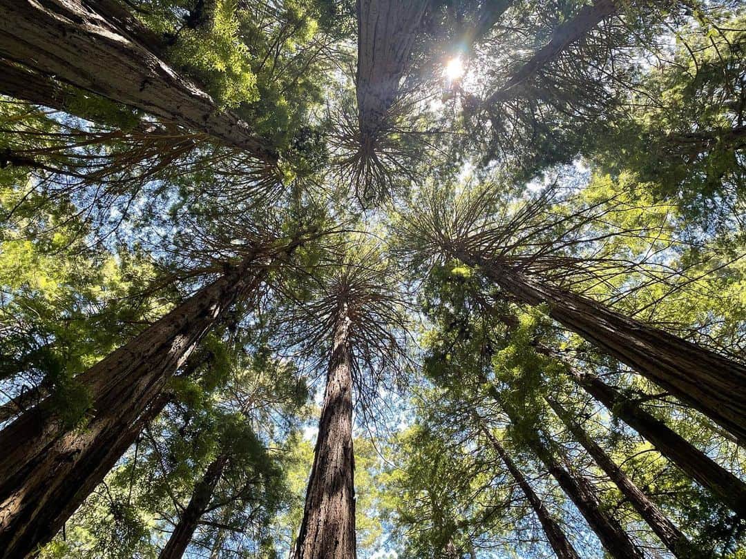 のインスタグラム：「Great Nature.」