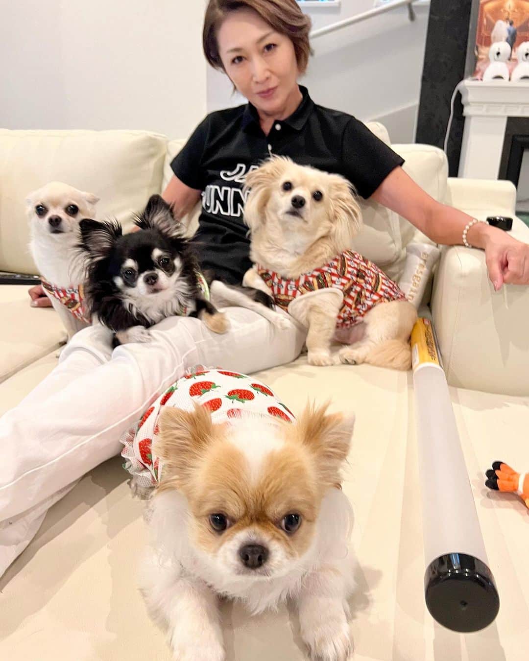 のインスタグラム：「我が家のひと時。常に傍に居る家族、、、密度が高い！笑」