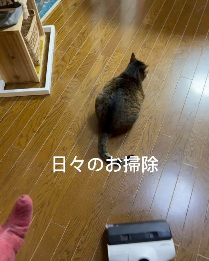 midoriのインスタグラム