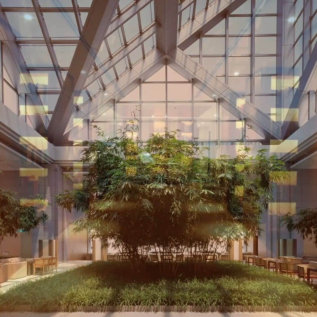 Park Hyatt Tokyo / パーク ハイアット東京のインスタグラム