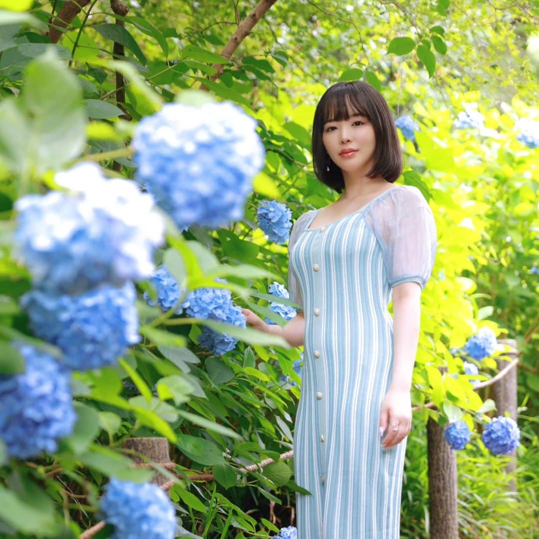 三宮つばきさんのインスタグラム写真 - (三宮つばきInstagram)「凛  #鎌倉 #北鎌倉 #明月院 #明月院ブルー #明月院あじさい #紫陽花 #紫陽花ポートレート #紫陽花の季節 #hydrangea #hydrangeas #candid #candidphotography #candidphoto  #sexy #sexyphoto #snap #snapshot #offshoot #ポートレート #ポートレート撮影 #スナップ #スナップショット #街ぶら #モデル撮影  #グラビア #オフショット #グラビアモデル #モデル #撮影」7月9日 9時00分 - tsubaki_s_cmore