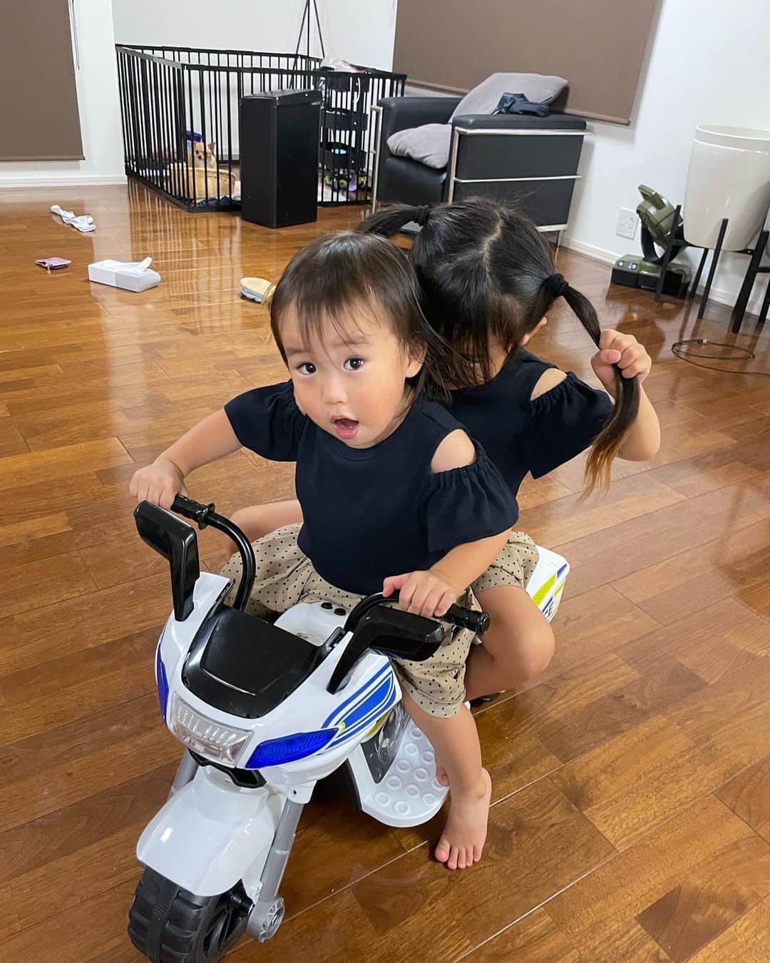 森ケの暴走ブラザーズのインスタグラム：「#暴走ブラザーズ」
