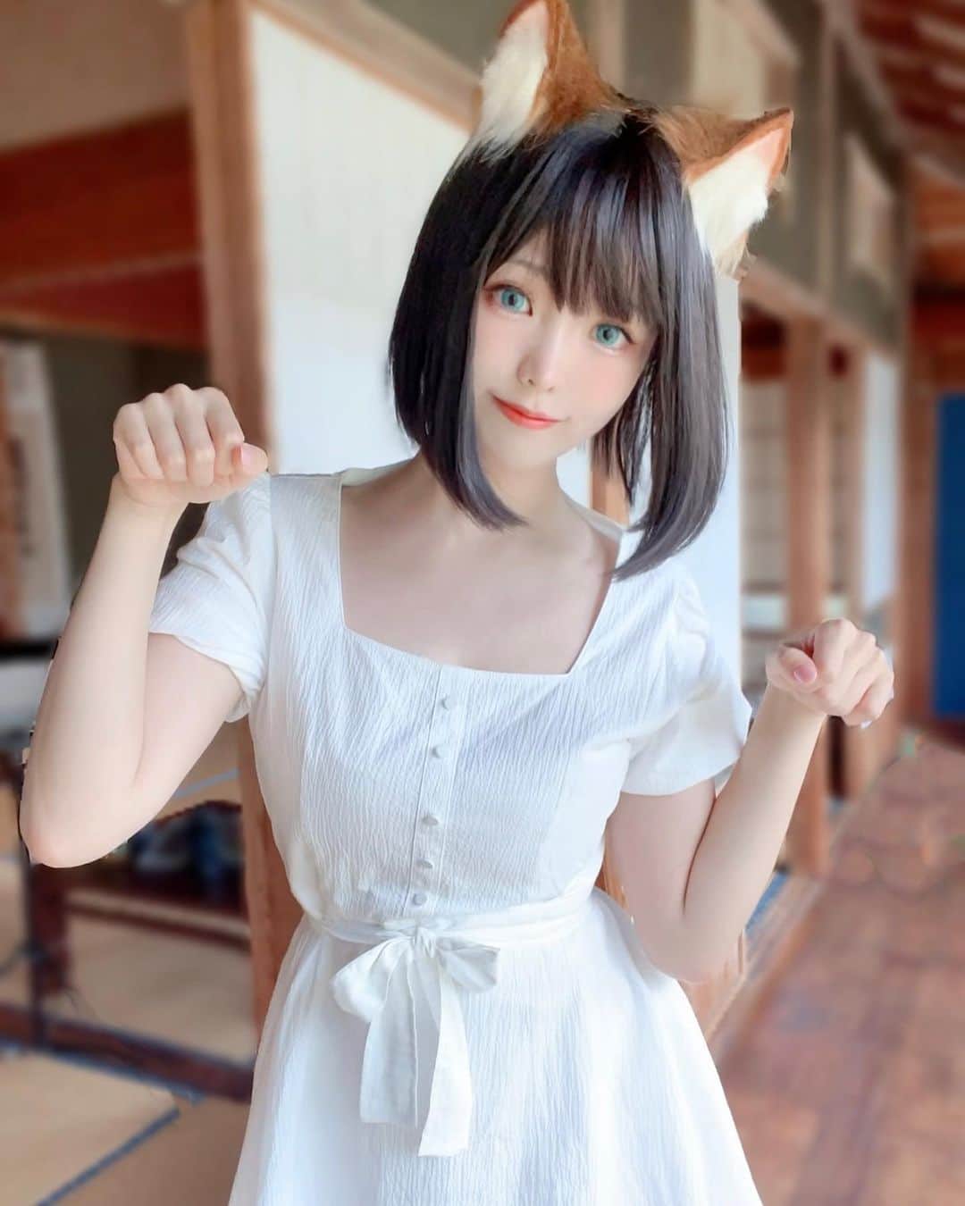 Elyのインスタグラム：「Good morning ~🦊  おはようございます🦊 #どんぎつね  來自咚兵衛狐狸的早安～」