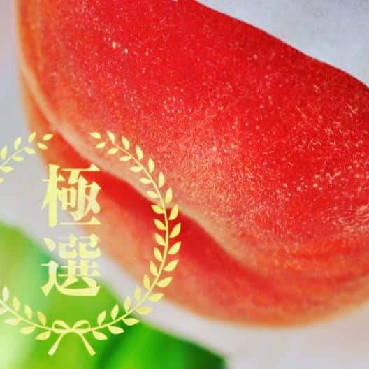 ツチと実のインスタグラム：「【リピーター続出!!!】⁡⁡ ⁡ ⁡毎年多くのお客様から大好評の『トロ桃』🍑⁡ ⁡その理由を解説しちゃいます！⁡ ⁡ ⁡〜『トロ桃』が人気なワケ〜⁡⁡ ⁡ ⁡⁡⁡①『農家だからこそ！』⁡ 農家が厳選した最高の果物なので本当に美味しいです♪真のお得はここにあります！⁡ ⁡⁡ ⁡②『減農薬栽培！』⁡ ⁡農薬を半分以下に抑えた栽培方法を採用しているのでお子様にも安心です！⁡ ⁡⁡ ⁡③『お値段以上！』⁡ ⁡農家同士の繋がりから農家直送が実現しました！⁡ ⁡⁡ ⁡④『本物の農産物』⁡ ⁡市場の農産物とは作り方が違います！違いは食べてみれば直ぐに分かっちゃいます^^⁡ ⁡⁡ ⁡⑤『直送だからこそ！』⁡ ⁡果物は新鮮さが命です。農家直送だからこそ実現した新鮮さを感じて下さい！⁡ ⁡⁡ ⁡⑥『栽培地！』⁡ ⁡山梨の中でも桃の産地として有名な一宮地方！ 桃のブランドはここからつくられる！っていうほど有名な産地です！⁡ ⁡⁡ ⁡⑦『品種！』⁡ ⁡地元山梨の人たちにも大人気の白鳳or浅間白桃となります！⁡ ⁡⁡ だからこそ美味しいんです♪⁡ ⁡是非『トロ桃』をご賞味ください！⁡ ⁡⁡ ⁡」