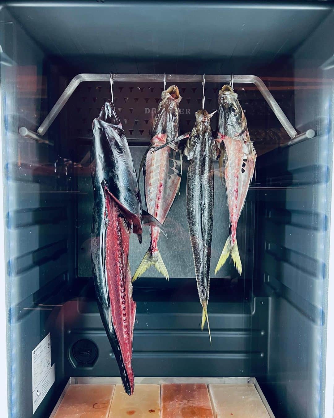 ケス Keisuiのインスタグラム：「Newly opened in Kyoto! @restaurant_moko_kyoto by @alexismoko   カジュアルに楽しめる新しいお店が京都にオープンしてました👏👏👏  町屋一軒まるまるお店だなんて...。今後はワイン🍷も販売する予定なんだとか。  @melindarjoe のおすすめはいつだって💯💯💯  これからもいろんなお店に連れて行ってね🫰  #Worlds50Best #Asias50Best #50BestDiscovery #50BestTasteHunter」