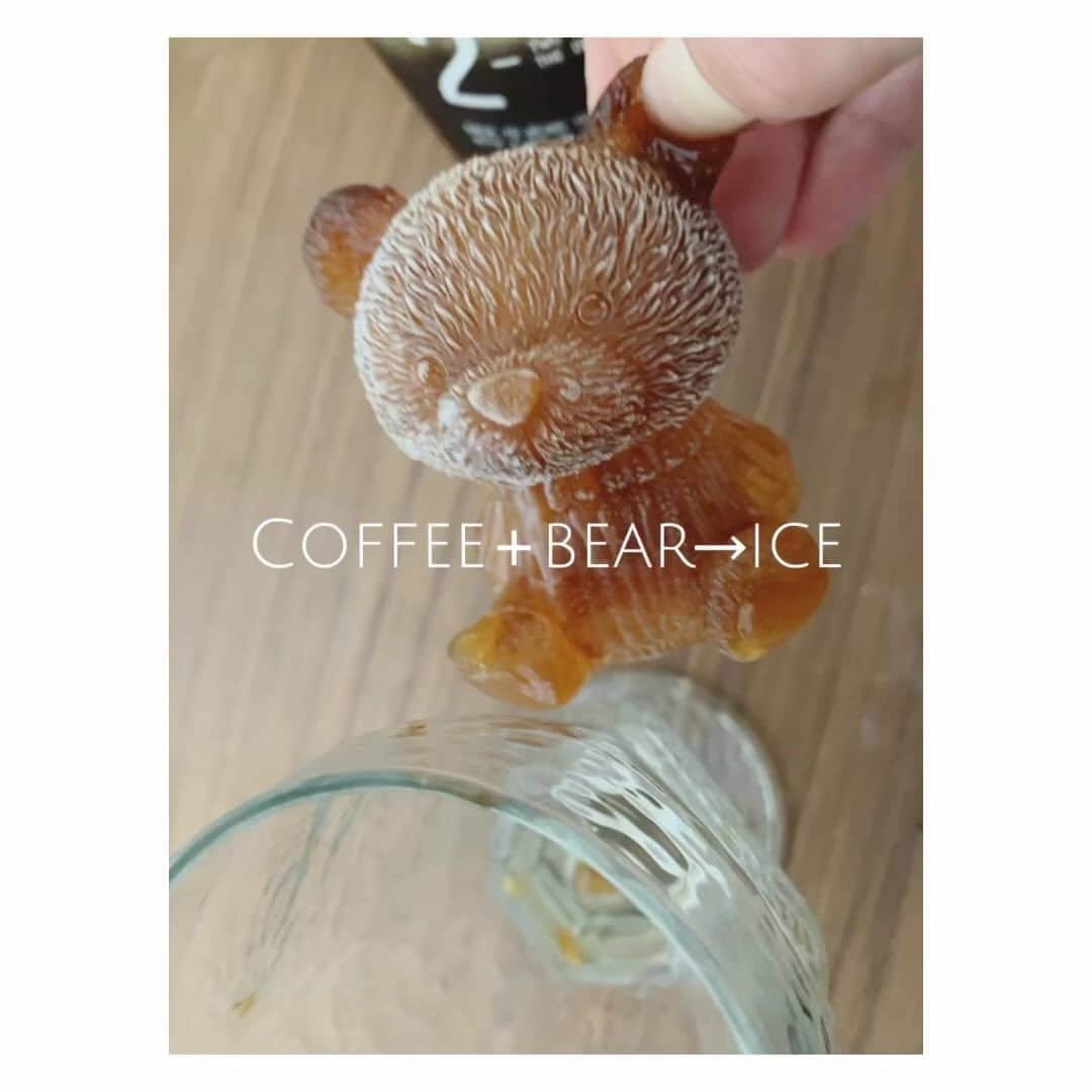 のインスタグラム：「coffeeで”くま氷”作ったら くま🐻感強くなったやつ🧊www  ふふふ☺️かわいーね  #くま氷　#coffee氷　#リアルクマ   ice coffeeのお豆は #マメココロ さんの ベトナムの　バレルエイジド　カウダッド☕️ (ウィスキーの樽で寝かせたお豆)  ウィスキーの香りが豆にうつって、いい香り！  私は今回浅煎りで、 少しフルーティ感強めだったけど、 もう少し深めにしても美味しいかなー☺️なんて。  ミルク＋で和菓子とたべても ウィスキーの香りとマッチして 楽しめるかもしれません〜  皆さんも是非✨  #ベトナムバレルエイジド  #バレルエイジド カウダッド」